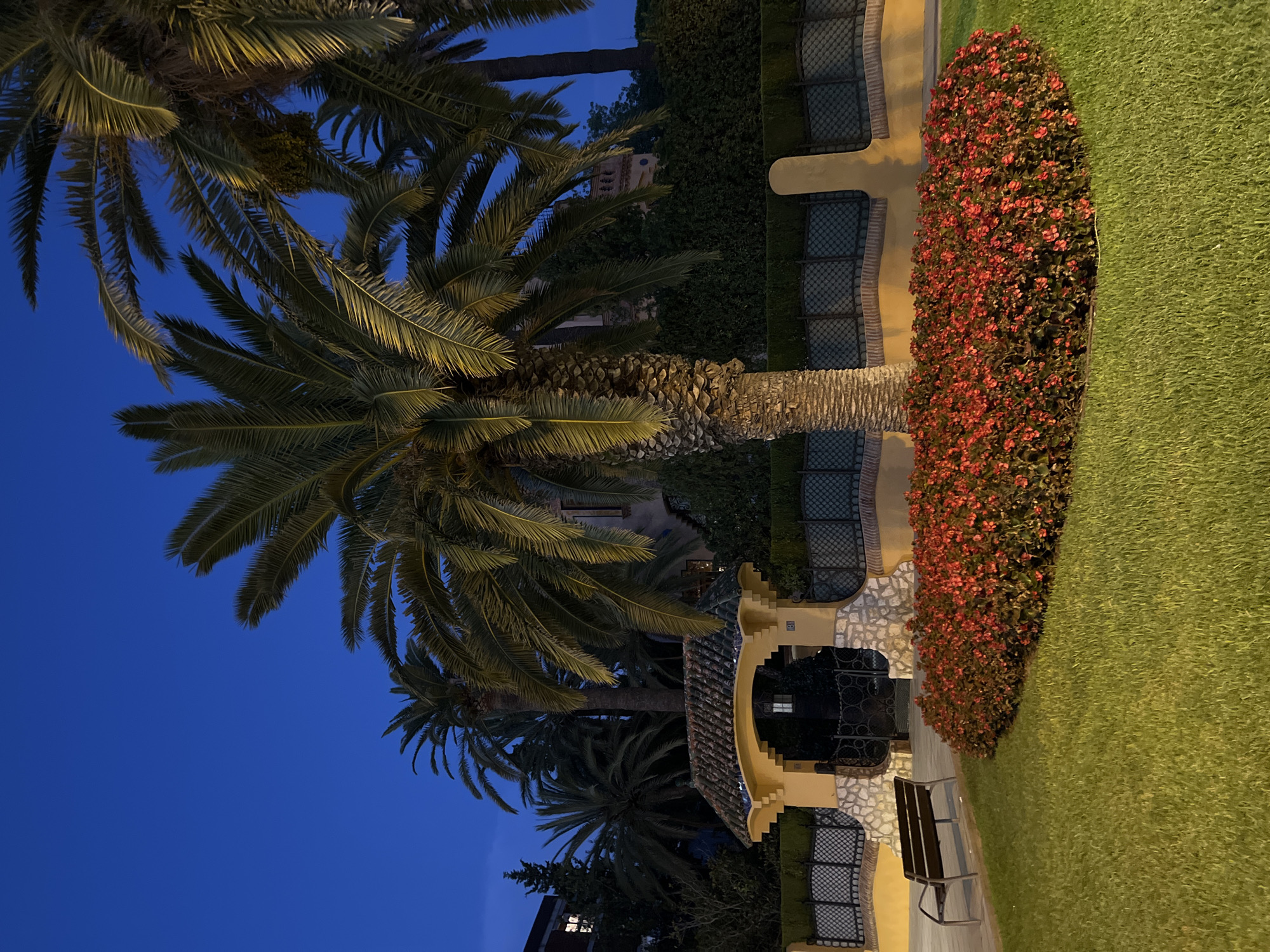 This photograph captures an outdoor scene at dusk, likely in Salou, Spain, given the characteristic palm trees and Mediterranean architectural elements. A large palm tree dominates the foreground, its fronds illuminated by artificial light. To the left, a park bench sits on a manicured lawn. Adjacent to the bench is a meticulously maintained flower bed filled with vibrant red blossoms. In the background, a decorative archway with a tiled roof leads to a wrought-iron gate. Beyond the archway, a hedge lines a wall, and behind that, a building with illuminated windows can be seen, nestled amongst more palm trees. The sky is a deep twilight blue. There are no people or animals visible in the frame.