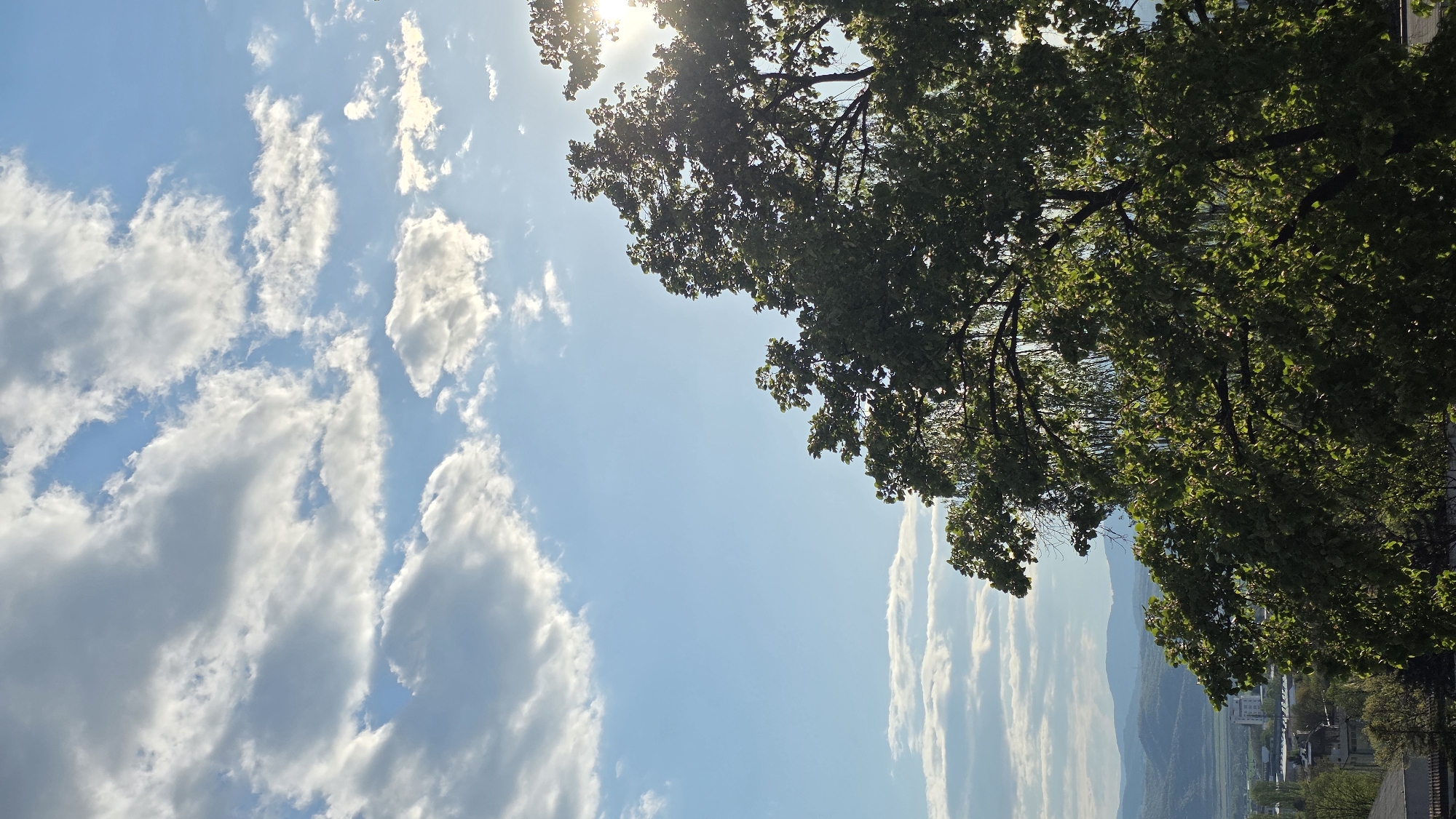 The image shows a view of the sky in Blagoevgrad, Bulgaria. Cumulus clouds dominate the left side of the frame, contrasting with the clear blue sky. The sun is visible at the top center of the image, partially obscured by the foliage of a large tree. This tree occupies the upper right section of the image. In the distance, mountains are visible, alongside a cityscape with buildings and greenery.