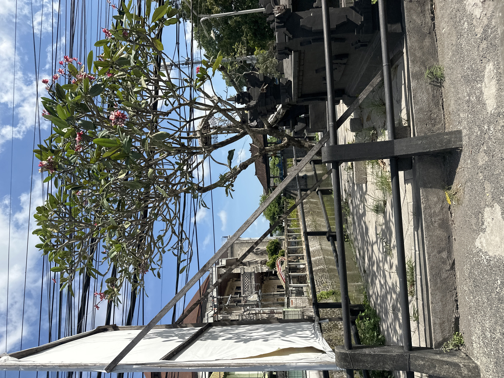 The image depicts a street scene in Denpasar, Indonesia. A frangipani tree with pink blossoms is prominent in the foreground, its branches reaching towards a bright blue sky dotted with clouds. Overhead, a dense network of black electrical wires crisscrosses the frame. To the left, a large white banner or sign, partially obscured by wooden supports, hangs. Behind the tree and banner, a canal runs horizontally across the image, its water reflecting the sky. On the far bank of the canal, a stone building with intricate architectural details, including a balcony and what appears to be decorative stonework, is visible. A black metal railing lines the canal's edge in the foreground. To the right of the frangipani tree, a dark, intricately carved structure, possibly a temple or monument, stands beside the canal. Further in the background, lush green trees and a small pavilion with a traditional roof can be seen. The ground in the foreground consists of a paved walkway and a concrete curb, with patches of grass and weeds growing between the paving stones. The overall atmosphere is one of a tropical urban environment.