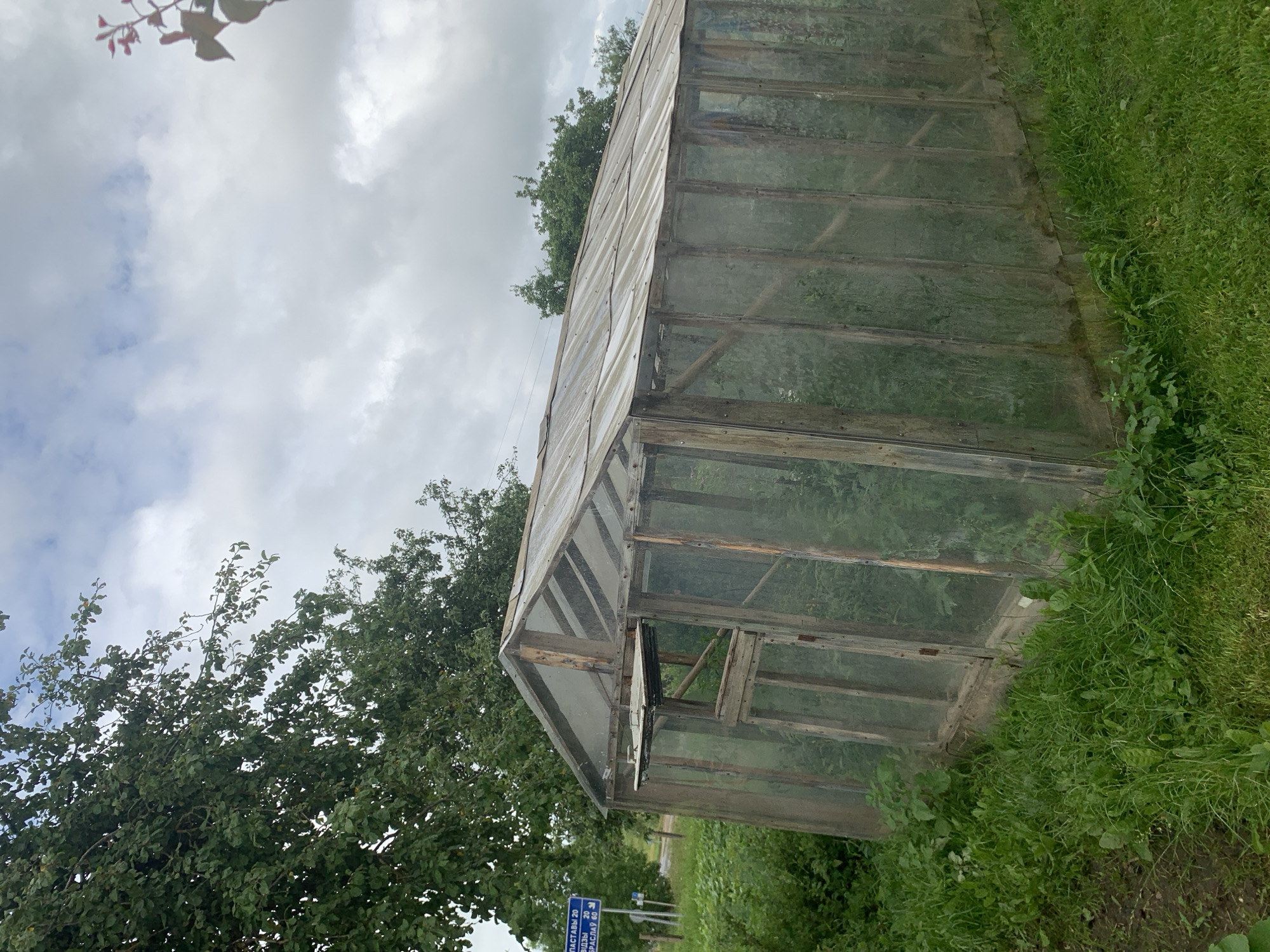 The image shows a dilapidated wooden greenhouse with a glass roof and sides, situated in a grassy, overgrown area. The greenhouse appears weathered, with visible wood grain and some cloudy glass panels. A small wooden door or vent is open on the left side of the structure. Green vegetation, including tall grass and some leafy plants, surrounds the greenhouse, with a large tree to the left. In the background, a blue road sign is visible, indicating "ВІДЗЫ 20" and "БРАСЛАУ 60", which are place names and distances in kilometers. The sky is overcast with white and gray clouds. The overall scene suggests a rural or suburban setting in the Відзаўскі сельскі Савет region of Belarus.