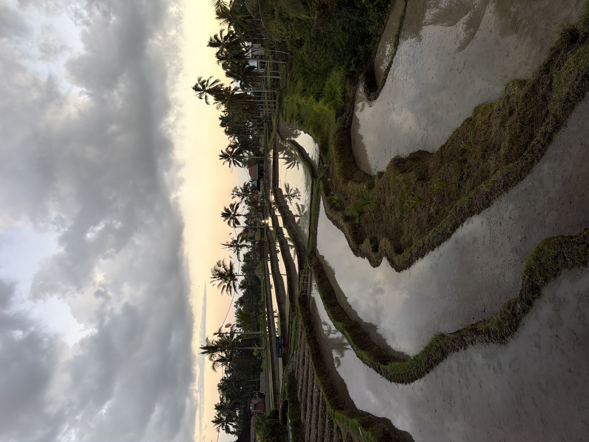 The image depicts a serene view of the Tegallalang rice terraces in Tegallalang, Indonesia, during what appears to be either sunrise or sunset. The sky is filled with a mix of soft, diffused light and dramatic, textured clouds, with a gradient of pale yellow and orange near the horizon. Numerous palm trees line the upper edges of the terraces and form a dense backdrop behind them, their silhouettes sharp against the sky.
The rice terraces themselves are a prominent feature, characterized by their stepped, organic shapes. The paddies are filled with water, reflecting the sky and the surrounding palm trees, creating a mirror-like effect. The earth between the water channels is dark and appears to be moist, with some patches of green grass and small, sparse vegetation growing on the edges of the terraces. In the distance, small buildings and structures can be seen amongst the trees, suggesting a rural settlement. A few faint figures, possibly people, are visible within the terraces in the middle ground, though their actions are indistinct due to the distance and lighting conditions. The overall atmosphere is one of tranquility and natural beauty, with the water and the sky contributing to a peaceful, almost ethereal, ambiance.