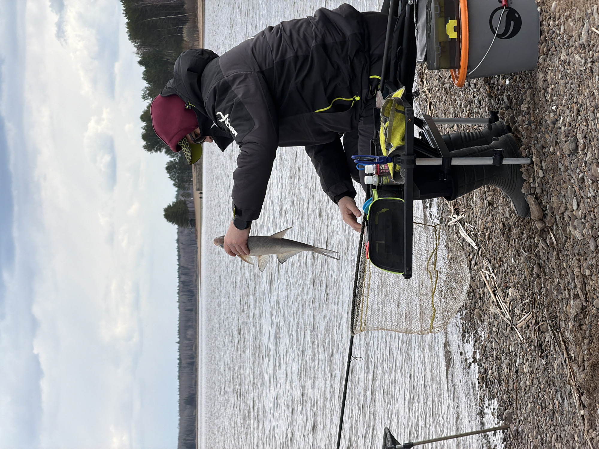 The image, taken in Chaykovsky, Russia, depicts a person engaged in fishing on the rocky bank of a large body of water, likely a river or lake. The scene is set during the daytime under an overcast sky, indicating cool or cold weather.
The main subject is a person, likely male, wearing a black hooded jacket with lime green details, a maroon hooded sweatshirt or hat underneath, and a dark cap or visor. They are captured in a bending posture, holding a medium-sized, silvery fish with both hands. The fish appears slender, possibly a chub, and is held just above a landing net with a yellow-green mesh.
The person is positioned next to a specialized fishing setup, which includes a grey bucket with an orange rim and a black logo (resembling a stylized 'S' or 'SK'). This setup also features a tray holding various accessories, including small white bottles, one of which partially displays the text "MINERAL WATER." A yellow-green towel or cloth is also visible hanging from the equipment. The person is wearing dark, rubber-like boots. On the black jacket, white lettering partially reads "MAX" or "MATTix," with another white logo visible on the sleeve.
The foreground shows a pebbly and rocky shoreline, mixed with some driftwood, extending to the edge of the water. The water itself is grey and appears slightly choppy. In the background, a dense line of coniferous trees forms the opposite bank of the water body, under a broadly cloudy sky. The overall impression is one of a focused fishing activity in a natural, serene, yet perhaps chilly, outdoor environment.