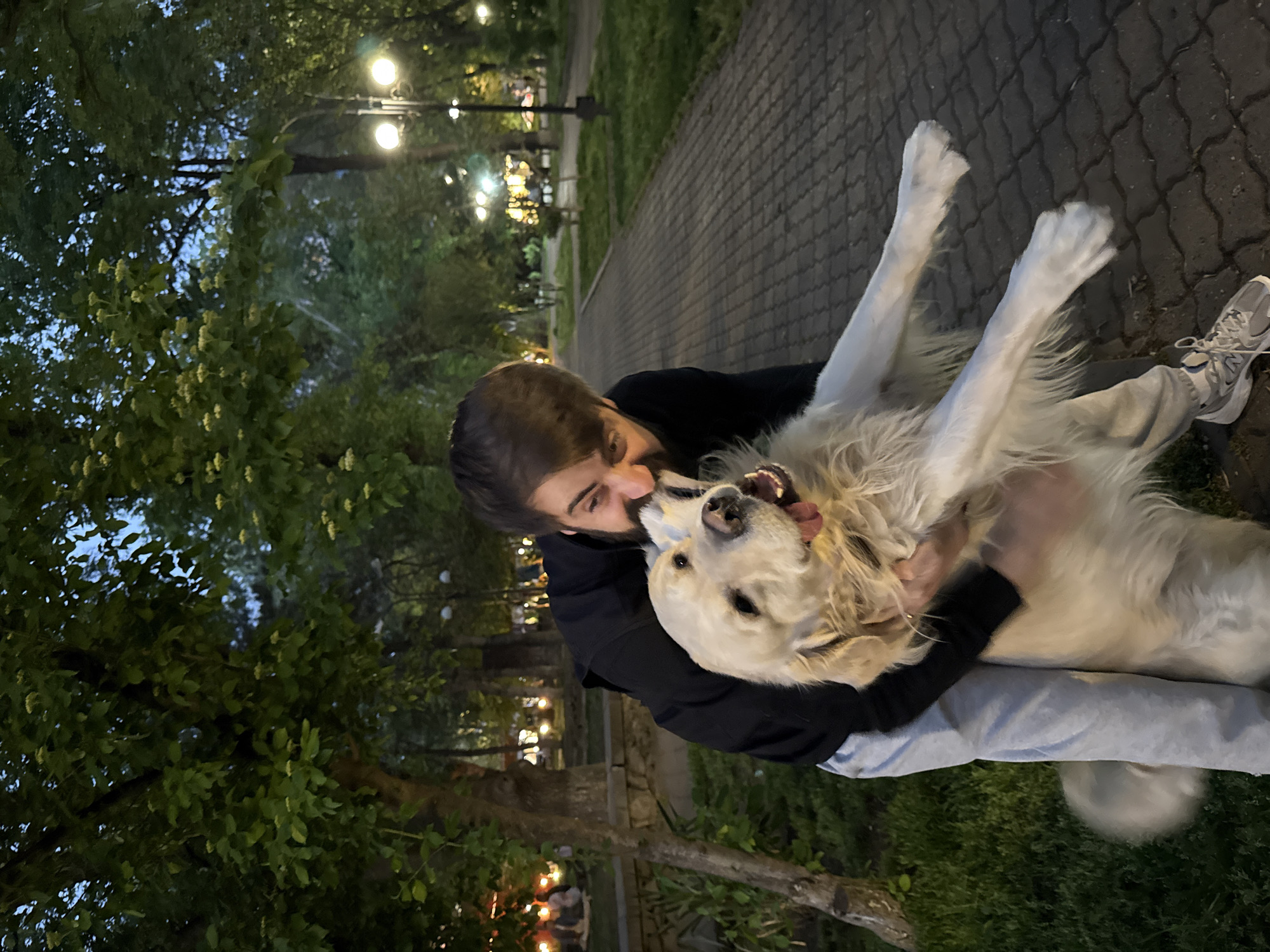 The image captures a man interacting affectionately with a large, light-colored dog outdoors. The man, who has brown hair and a beard, is wearing a dark-colored hoodie and light-colored jeans. He is holding the dog in his arms, nuzzling its head. The dog, with its mouth open, appears to be enjoying the interaction. Both are positioned near a paved walkway, with green grass and trees visible in the background. Illuminated street lamps are present in the distance, contributing to the dim lighting of the scene. Based on visual cues and contextual information, this photo was likely taken in Yerevan, Armenia, in a public park or outdoor recreational area.
