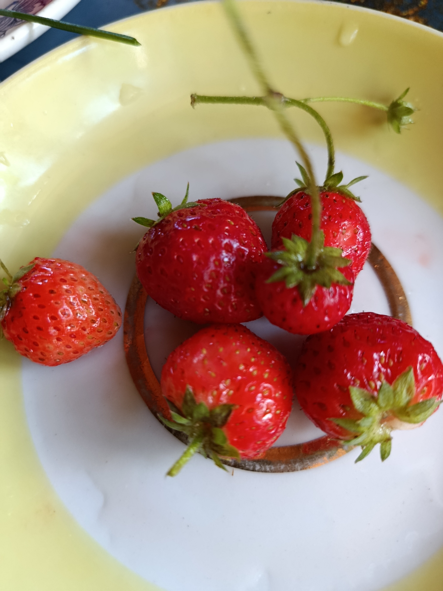 The image shows a close-up, high-angle shot of six fresh strawberries, some still attached to their stems and leaves, resting in a shallow bowl. The bowl has a pale yellow outer rim and a white interior with a decorative, metallic-colored band around the edge. The strawberries are a vibrant red, with visible seeds on their surface. Some appear slightly wet, suggesting they may have been washed. The lighting is natural, highlighting the texture and color of the fruit. The image does not contain any information about the city of Верея, Russia, or any people.