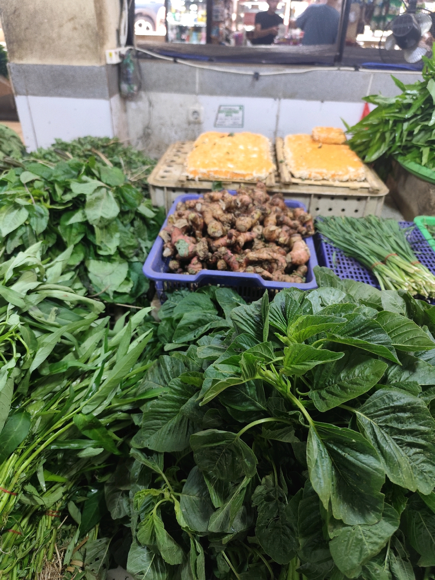 This is a close-up, eye-level, medium shot of produce for sale in a market stall, likely in Bogor, Indonesia. In the foreground, a large pile of vibrant green leafy vegetables, possibly spinach or water spinach, dominates the frame. Behind this, to the left, are bundles of long, thin green stalks, also leafy. To the right of the foreground greens, a purple plastic basket holds a collection of ginger roots, characterized by their irregular shapes and earthy brown color. Further back, two rectangular trays are visible, each containing a flat, orange-colored food item, perhaps some kind of cake or pastry. In the background, blurred figures of people can be seen through a reflective surface, likely a window or glass partition, suggesting the indoor nature of the market. The overall environment appears to be an indoor market stall with concrete walls and visible stalls in the distance.
