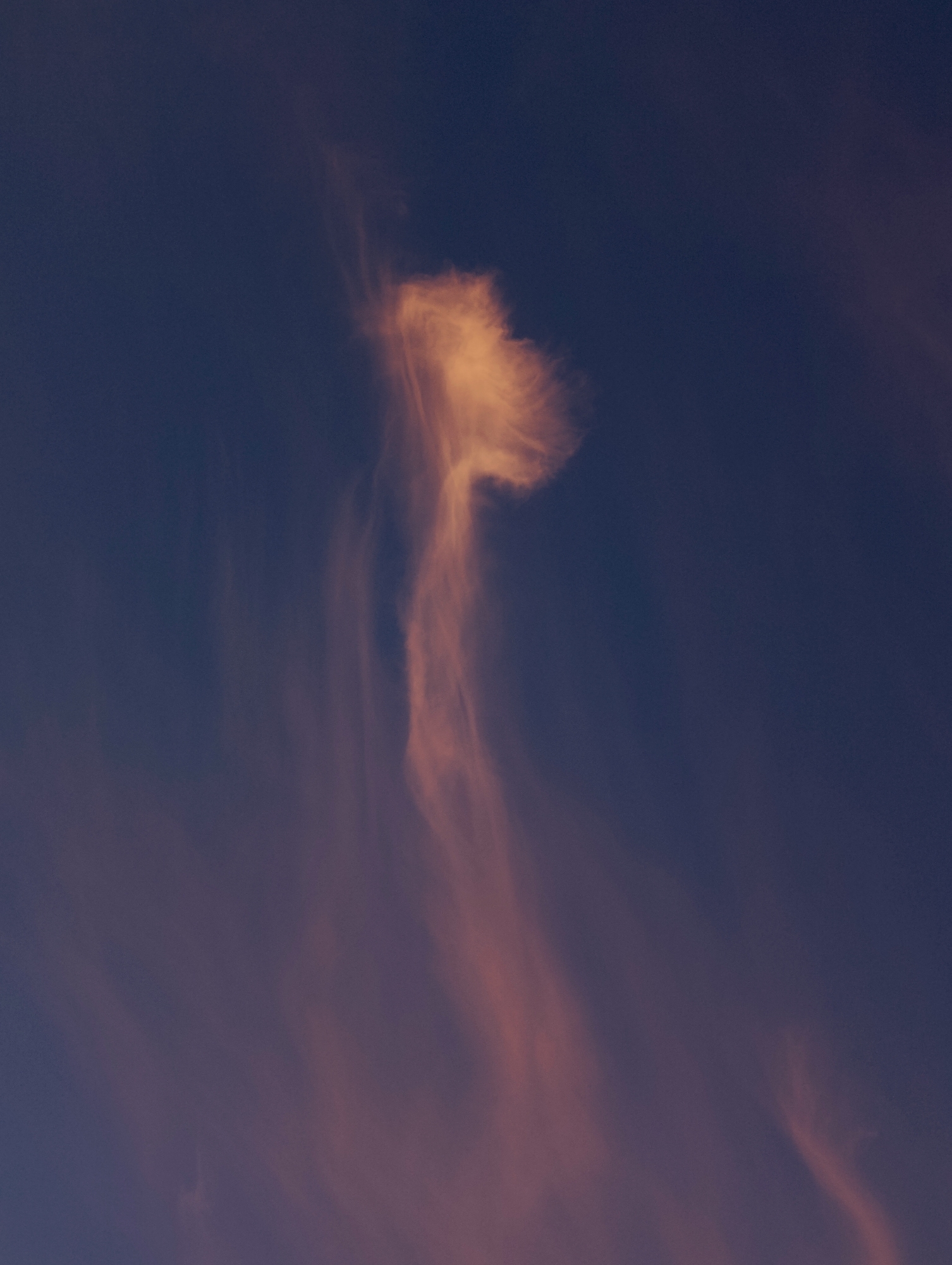 A dramatic cloud formation, illuminated by warm sunset light, dominates the center of the image against a deep blue twilight sky. The cloud resembles a flowing, ethereal figure with a broader, luminous head and a tapering, wispy tail that descends downwards. Fainter, reddish-pink wisps of clouds are scattered throughout the lower half of the frame, indicating the fading light of dusk. The overall atmosphere is serene and awe-inspiring, evoking the beauty of a sunset over the city of Minsk, Belarus. No people or man-made structures are visible in this image, focusing solely on the natural phenomenon.