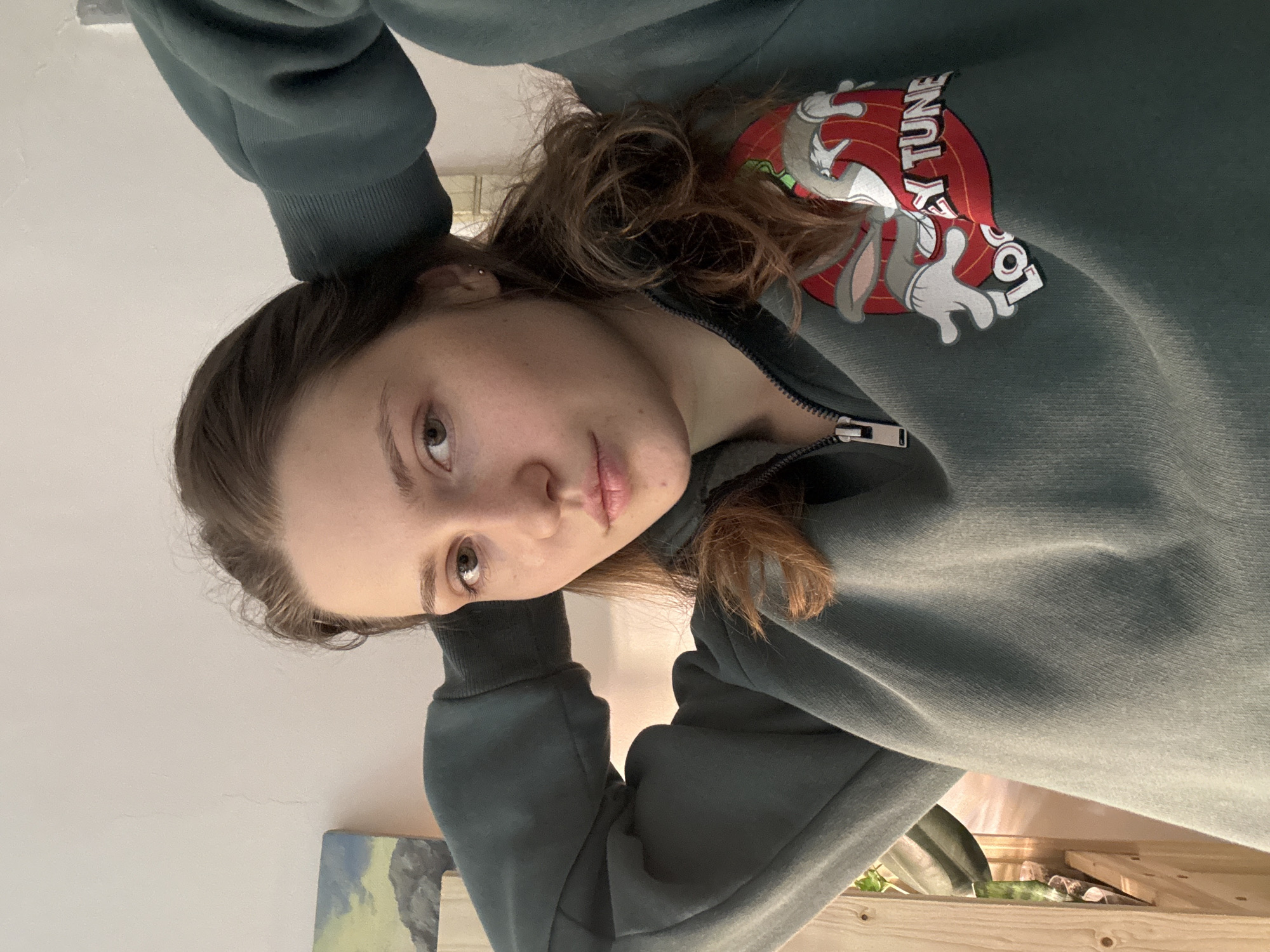 A young woman is seen in a portrait taken from a low angle. She is wearing a dark green hooded sweatshirt, which is zipped slightly open at the neck. The sweatshirt features a Looney Tunes graphic with Bugs Bunny on the upper right portion of the garment. She rests her head on her arms, with the sleeves of the sweatshirt pushed up slightly on both sides. She appears to be indoors, as a painting and wooden shelf with plants are visible in the background. There is no evidence suggesting this photo was taken in Saint Petersburg, Russia.