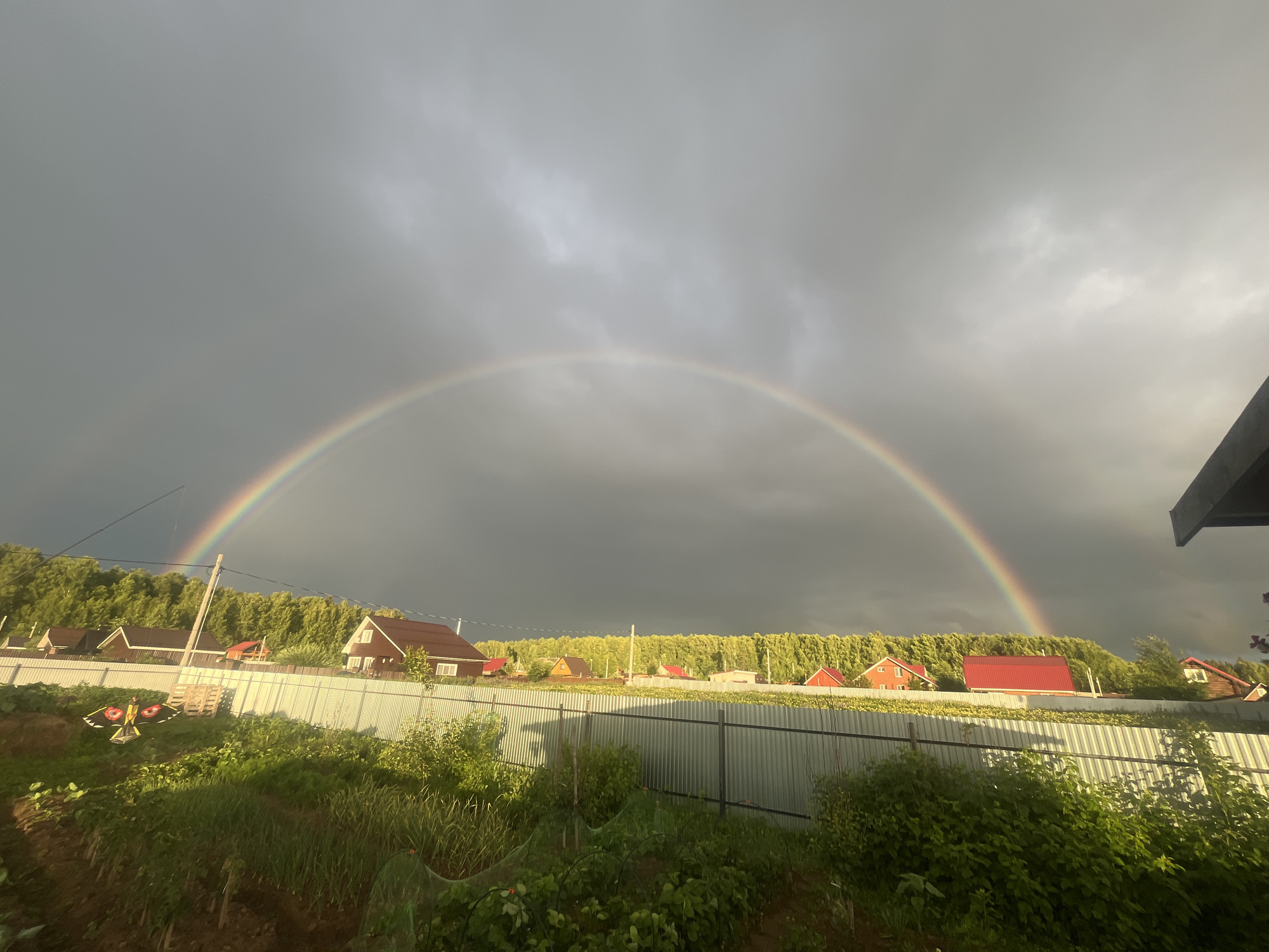 This is a wide shot of a rural landscape in Klepiki, Russia, featuring a vibrant double rainbow arching across a dramatic, cloudy sky. The scene is set in what appears to be a suburban or dacha community, with a row of houses visible behind a corrugated metal fence. Lush green vegetation, including what looks like a garden and trees, fills the foreground and middle ground, suggesting it's late spring or summer.
The sky is a mix of dark, stormy clouds on the left and brighter, sunlit clouds on the right, indicating a recent or passing shower. The sunlight breaking through creates the spectacular rainbow phenomenon. The houses have red roofs and wooden exteriors, typical of Russian countryside homes. In the foreground, there are garden beds with various plants and what appears to be a scarecrow or decorative kite shaped like a bird of prey.
The time of day is likely late afternoon or early evening, given the quality of light and the contrast between the dark clouds and the illuminated areas. The overall mood is one of natural beauty and perhaps a sense of calm after a storm. There is no visible text in the image.