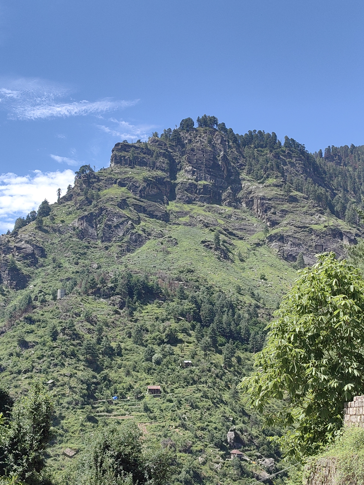 The image displays a panoramic view of a mountainous landscape in Chhyal, India, under a clear blue sky with sparse wispy clouds. The terrain is characterized by steep, rocky slopes covered in lush green vegetation and dense pine forests. Several small buildings, possibly homes or shelters, are nestled into the hillsides, some with what appear to be agricultural terraces. The foreground features a large, leafy green tree, partially obscuring the view of the stone wall and vegetation on the right side of the frame. The overall scene conveys a sense of natural beauty and rural habitation.