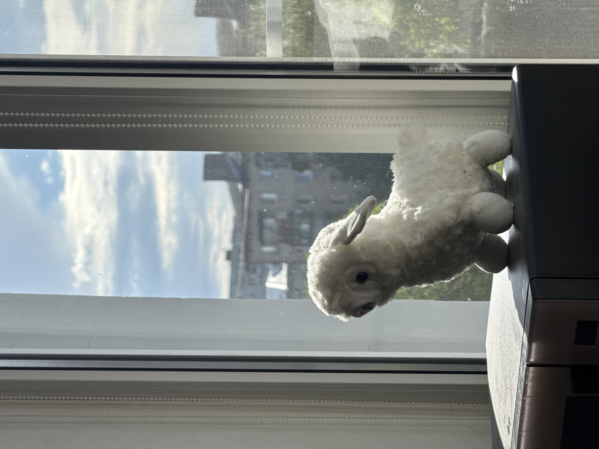 A fluffy white stuffed sheep toy is positioned on a dark surface, likely a piece of furniture, in front of a window. The window offers a view of buildings and a cloudy sky, suggesting an urban environment. The lighting indicates it is daytime, with sunlight casting shadows. The scene is indoors, likely an apartment or room in Volgograd, Russia, given the architectural style of the buildings visible through the window. There are no people or discernible actions taking place. The overall impression is one of domestic stillness.