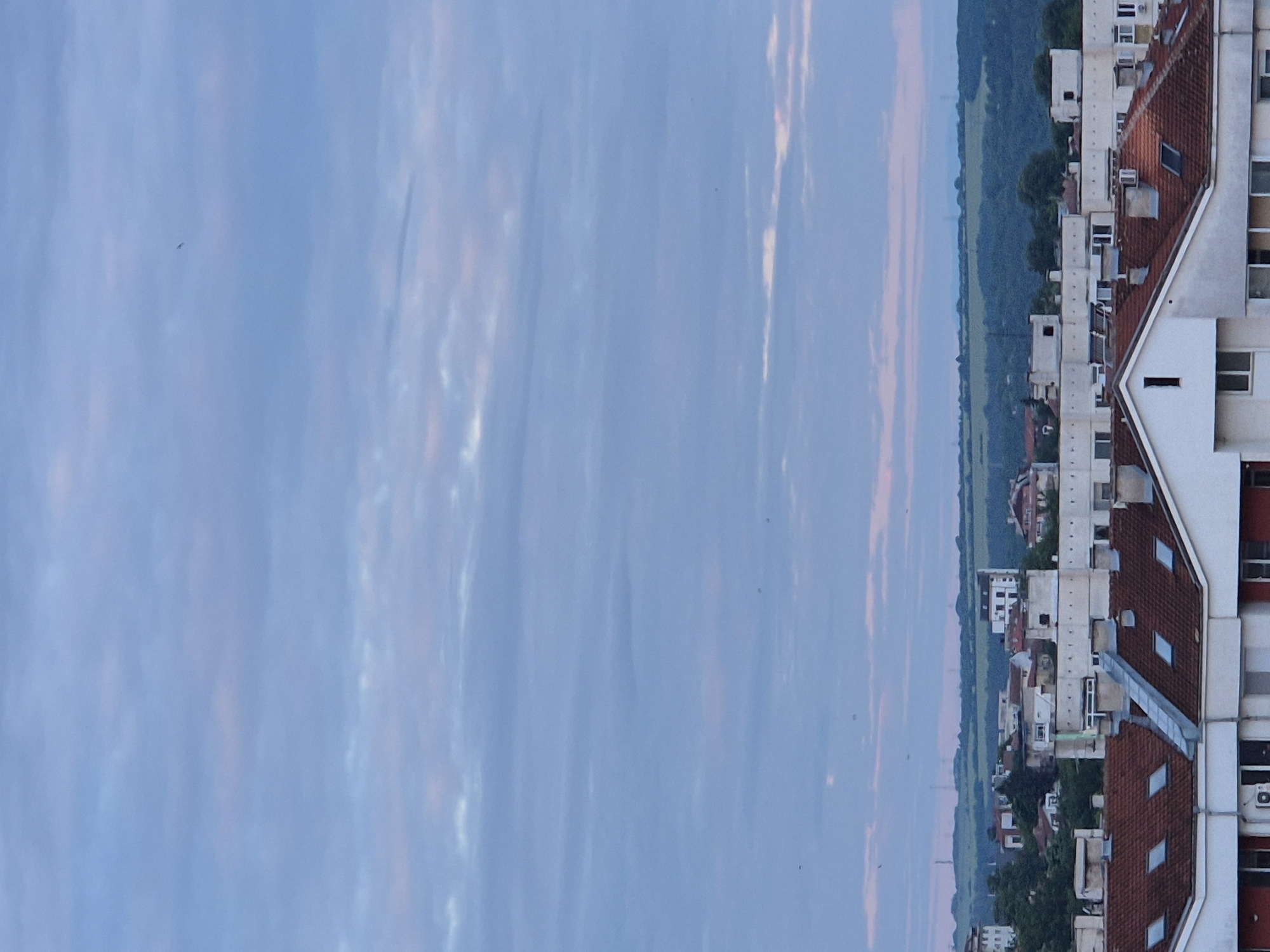 The image presents an elevated, static wide-angle view of a city transitioning into a rural landscape under a soft, overcast sky. The sky, occupying approximately two-thirds of the vertical frame, displays pale blue-grey hues streaked with subtle pink and purple tones, characteristic of dawn or dusk. Scattered stratiform clouds are visible across the sky. Several small, dark specks, likely birds, are sparsely distributed, with one notably larger, elongated dark object, possibly a distant aircraft, positioned in the upper-middle section.
The urban foreground and mid-ground consist of numerous buildings with varied architecture. In the immediate foreground, the roofs are predominantly pitched with reddish-brown tiles and feature multiple rectangular skylights. The visible building facades are light-colored, mostly white or off-white, with dark windows. Elements such as chimneys and vents are visible on the rooftops.
Beyond these closer structures, a dense cluster of additional buildings, primarily residential, extends into the mid-ground. These structures exhibit a mix of flat and pitched roofs in varying shades of red, orange, and white. Patches of green foliage from trees are interspersed among the buildings.
The distant horizon, forming the boundary between the urban area and the rural landscape, reveals a stretch of green terrain, appearing as fields and possibly forests. The most distant hills are muted in color, appearing hazy with a blue-green tint. Faint vertical structures, possibly utility poles or communication towers, are discernible against the distant landscape line. No individuals or specific actions are visible within the frame. The overall lighting is soft and diffused, indicating low sun angles.