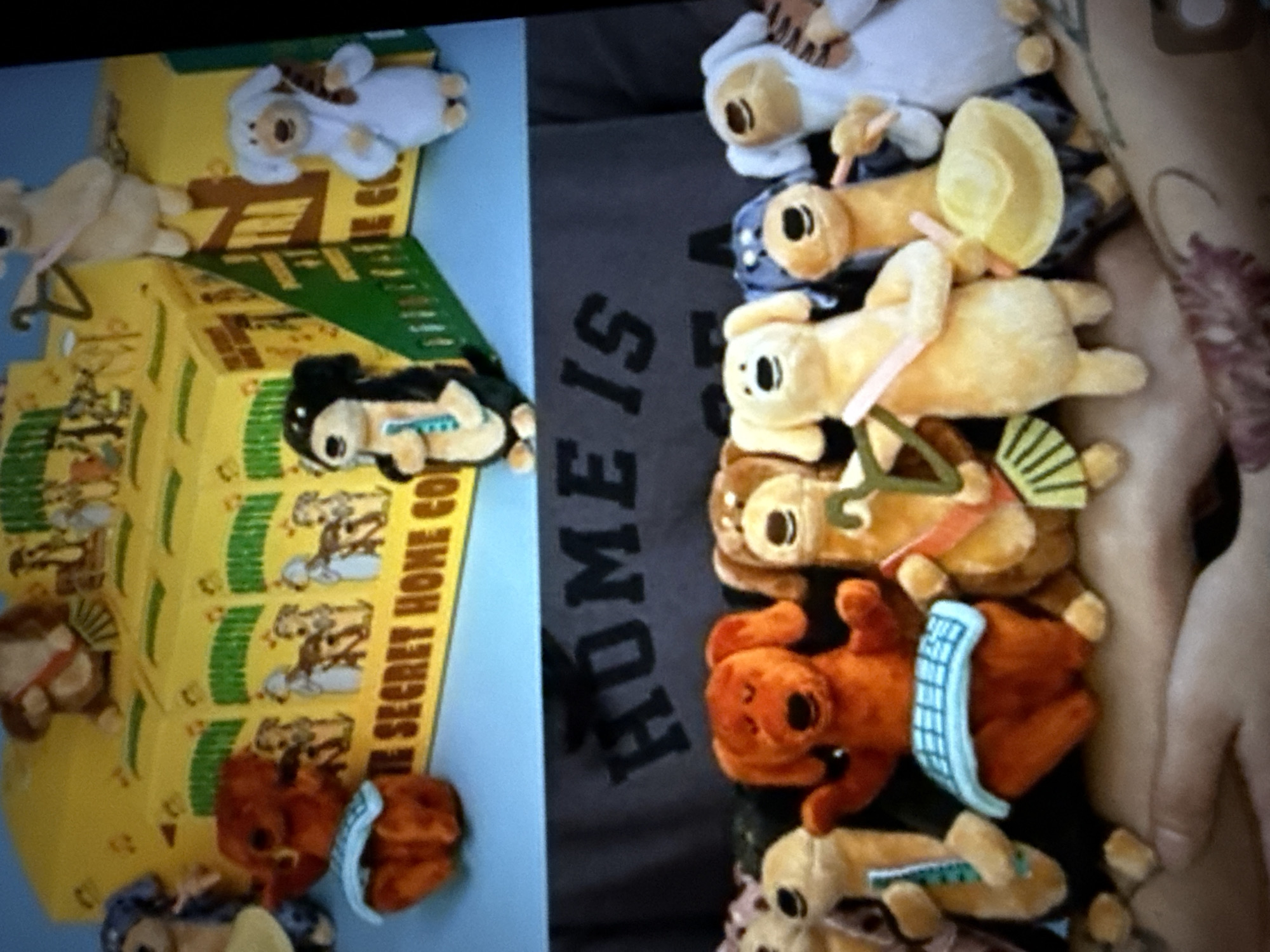 The image shows a collection of stuffed dog toys arranged on a surface. In the upper portion of the image, a yellow box with text and images of dogs is visible, along with several stuffed dog toys. The lower portion of the image displays a row of different stuffed dog toys, some wearing accessories like collars or hats. The background in the lower part features a dark grey fabric with large, dark lettering that reads "HOME IS". The overall scene appears to be a display or collection of toys. There is no discernible information within the image that would suggest a specific location in Taipei, Taiwan, nor any details about people, actions, or interactions.