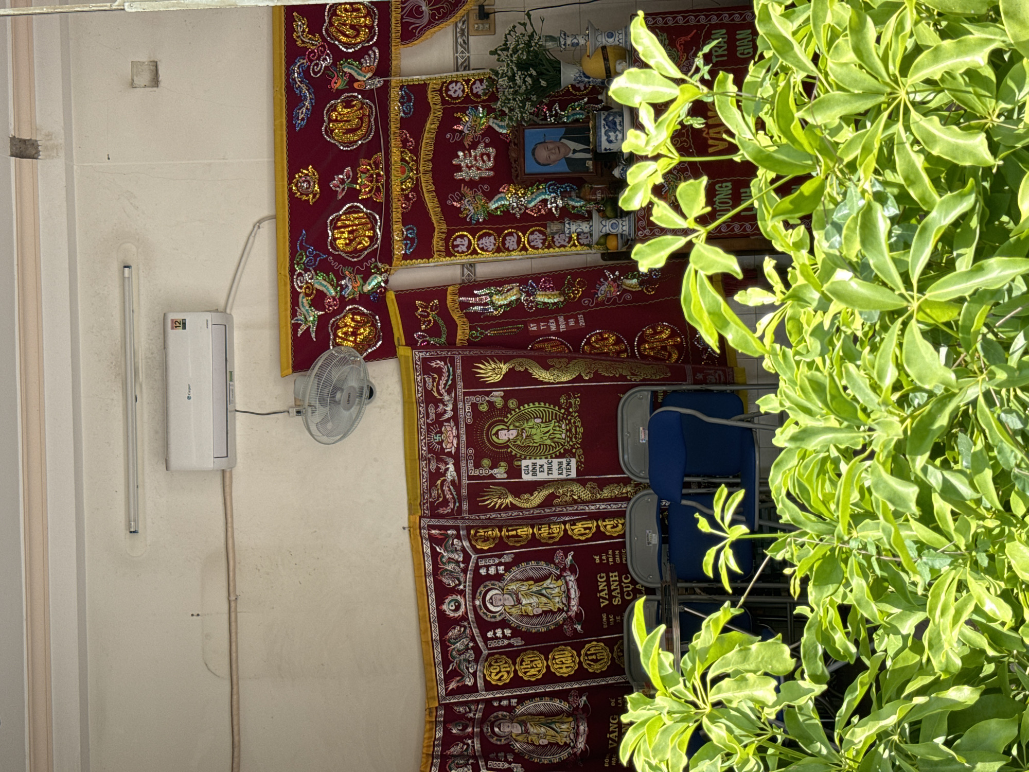 The image depicts an indoor setting that appears to be a makeshift shrine or altar, possibly in a home or community space in Nha Trang, Vietnam. In the foreground, lush green foliage is prominent, obscuring some of the view. Behind the plants, a series of draped red cloths with intricate gold and colorful embroidery are visible, featuring Buddhist imagery such as figures in meditative poses, dragons, and auspicious symbols. To the right, a framed portrait of an elderly man in formal attire sits on a table, surrounded by offerings and decorative items like vases of white flowers, fruit, and ceramic containers. Behind the altar, several blue chairs are arranged, suggesting a place for people to sit. An air conditioning unit and a ceiling fan are mounted on the wall above the draperies, indicating a contemporary living space. The overall atmosphere suggests a setting for remembrance or a spiritual gathering.