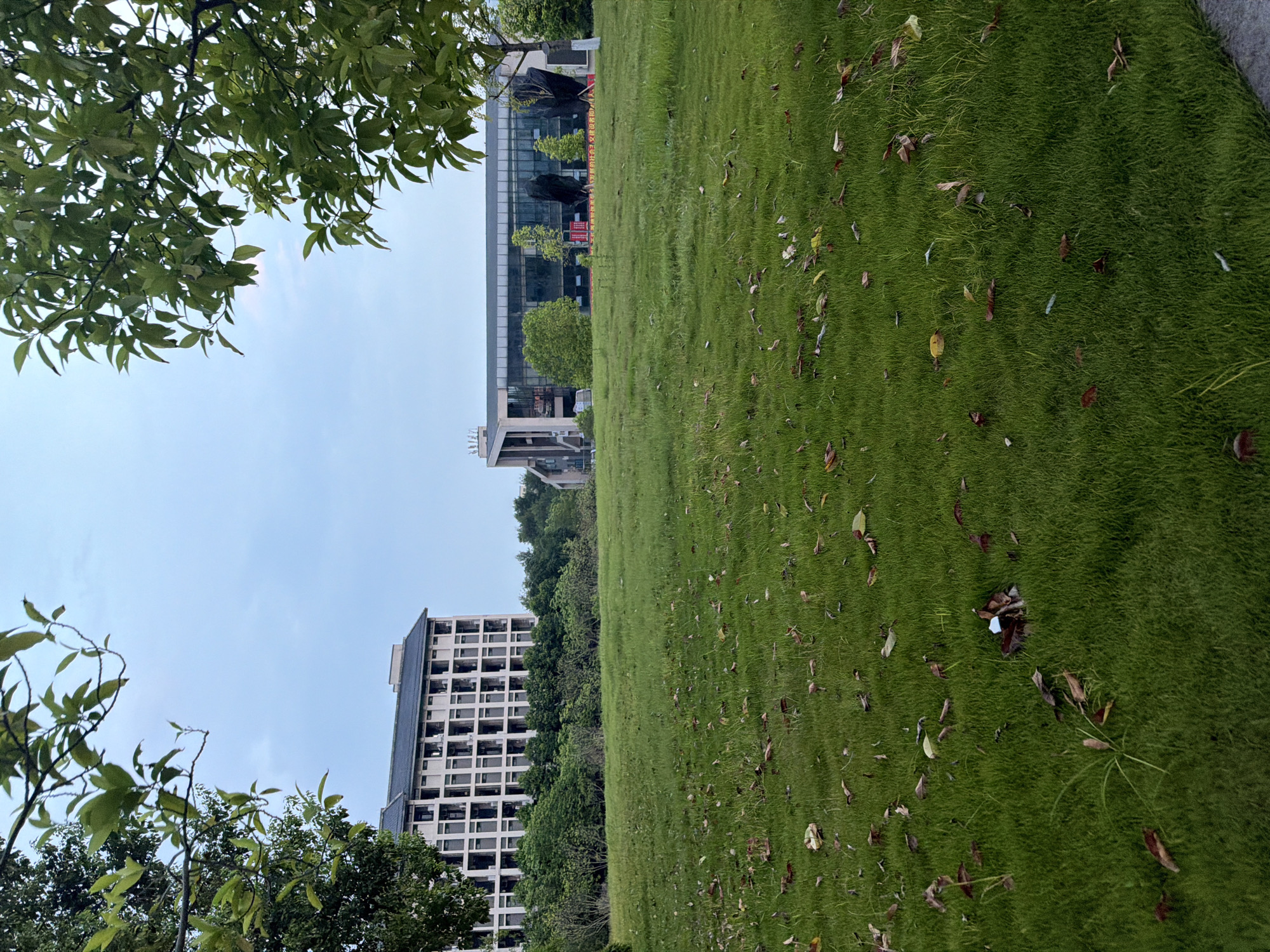 The image depicts an outdoor scene on the campus of Chongqing University of Posts and Telecommunications in Jiangjin District, Chongqing, China. In the foreground, a well-maintained green lawn is scattered with fallen leaves. In the middle ground, there are trees and bushes. The background features two prominent buildings. To the left is a multi-story building with a dark tiled roof and numerous windows. To the right is a modern building with a glass facade and a distinctive architectural design. The sky is overcast, suggesting it might be early morning or late evening. No people are visible in the image.