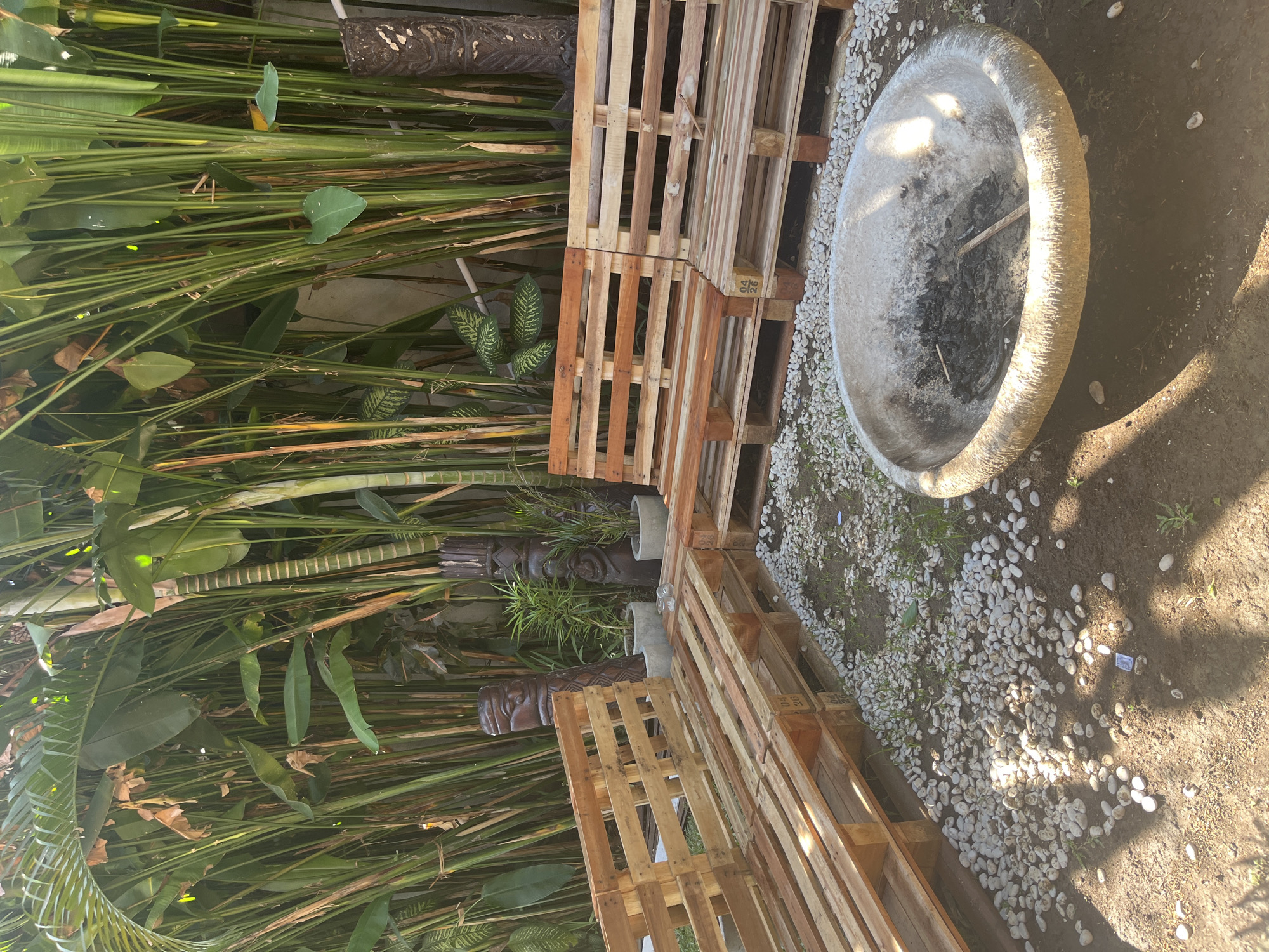 The image shows an outdoor seating area in North Kuta, Indonesia. The area features seating constructed from wooden pallets, arranged in an L-shape. In front of the seating is a circular concrete fire pit with remnants of ash and sticks inside. The ground is covered with dirt and small white stones. Behind the seating area, a dense wall of tall green plants, possibly bamboo or similar tropical foliage, creates a natural backdrop. Two carved wooden statues, resembling tiki figures, stand amongst the plants, adding a cultural element to the scene. The overall impression is one of a relaxed, rustic outdoor space.