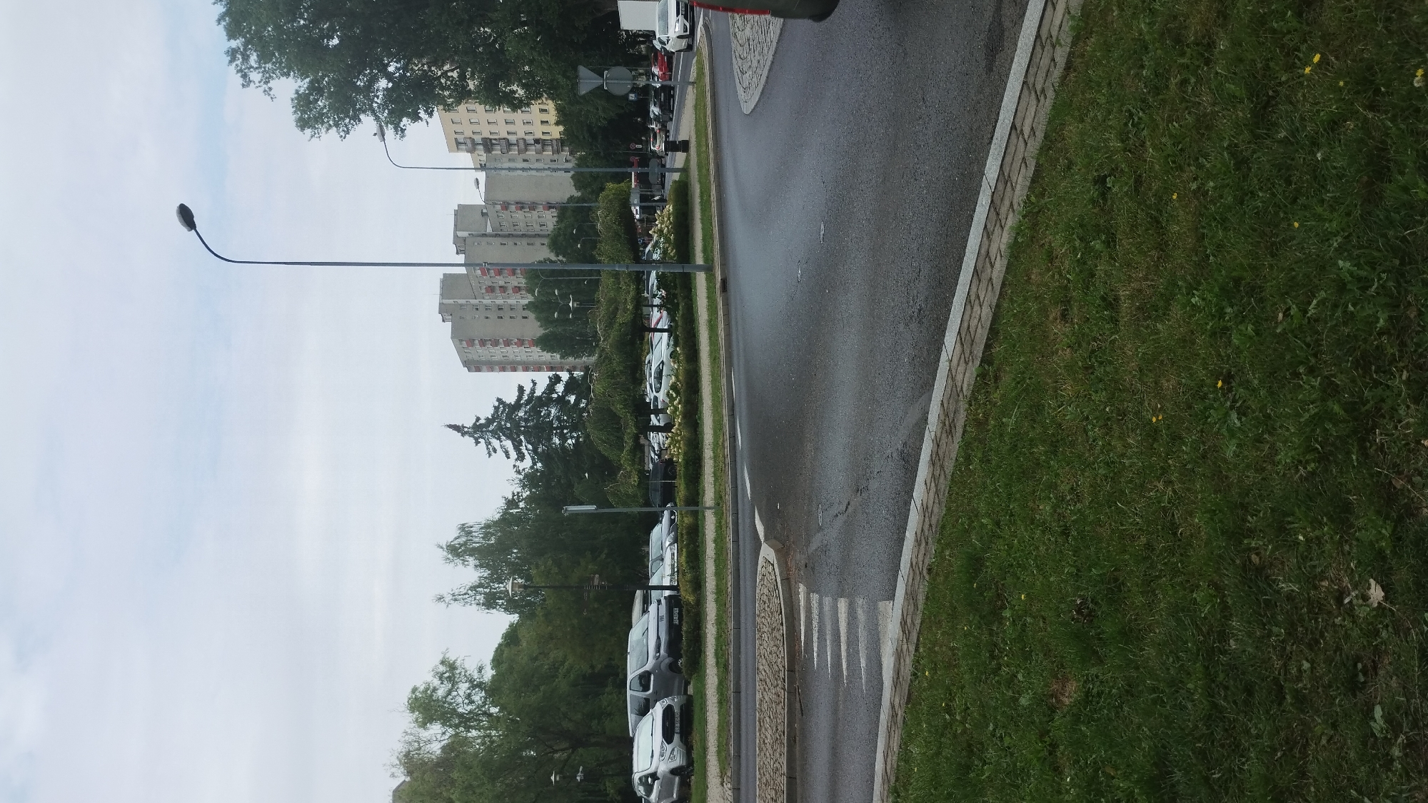 The image depicts a view of a street and a parking lot in Bielsko-Biała, Poland. In the foreground, there is a wet asphalt road with white directional markings and a cobblestone curb. To the left of the road, a patch of grass with some scattered yellow flowers is visible. In the middle ground, a parking lot is occupied by several cars of various colors, including white and silver. Behind the parking lot, there is a row of trees with distinctive umbrella-like shapes. Further in the background, multiple-story apartment buildings with grey facades and red accents are prominent, indicative of typical Eastern European urban architecture. A tall street lamp stands to the right of the main road. The sky is overcast, suggesting a cloudy day. The scene appears to be a residential or commercial area within the city.