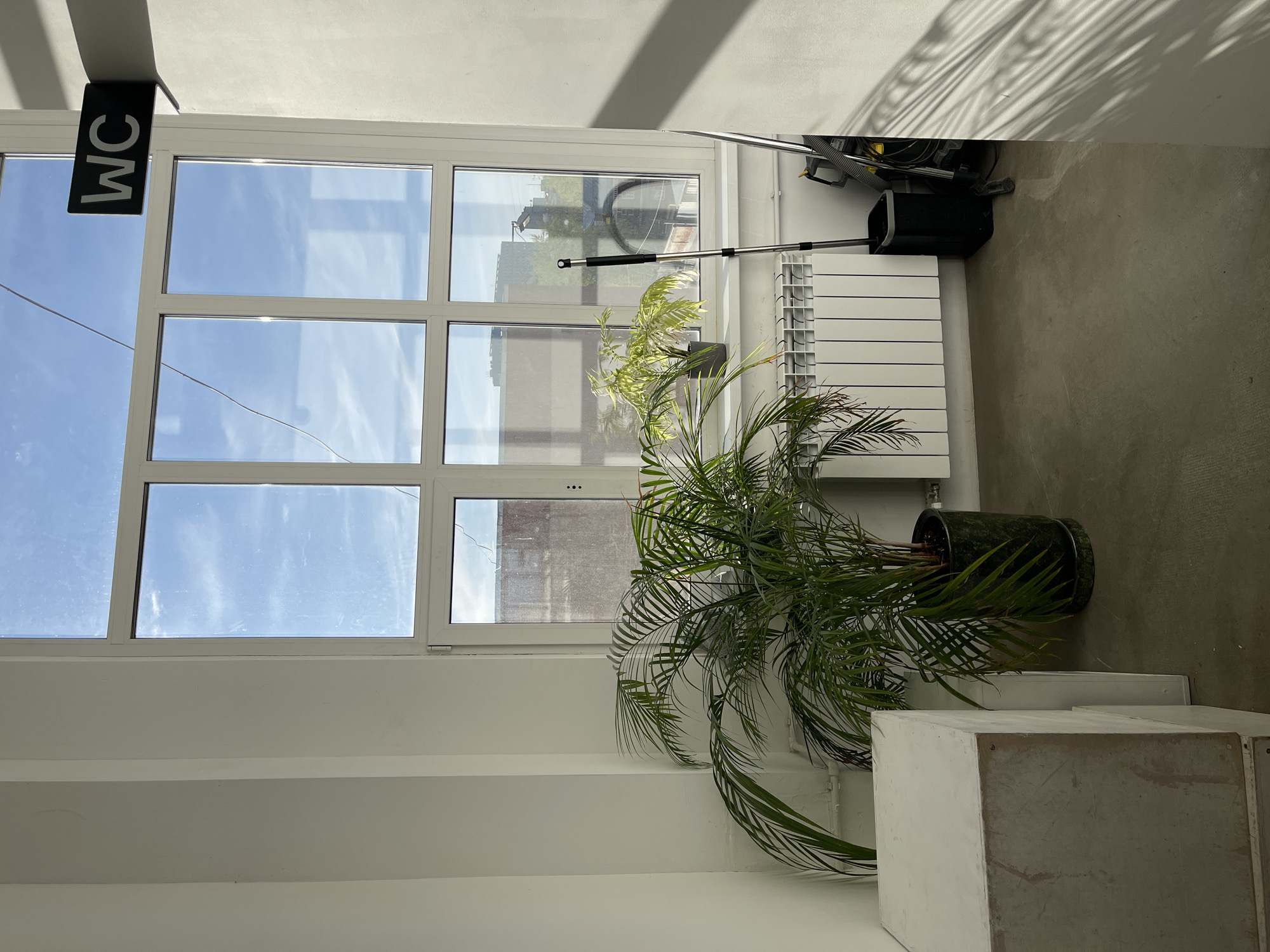 The image displays a brightly lit indoor scene, characterized by a clean, minimalist aesthetic with white walls and a light grey concrete floor. A large, multi-paned window dominates the central and left portions of the frame, through which a clear blue sky and reflections of distant buildings are visible, indicating bright daytime.
A black sign with the white text "WC" is conspicuously hung from the ceiling above the window on the left, signifying a water closet or restroom. Beneath the window, a white radiator is installed. To the right of the window, two potted plants add greenery to the space: a large, lush palm-like plant in a dark green pot on the floor, and a smaller, variegated plant with lighter foliage situated slightly behind it.
Various functional objects are present, including a long, extendable silver pole leaning against the wall/window frame, and cleaning equipment with yellow and black components (possibly a vacuum cleaner or pressure washer) visible in the top right corner. On the bottom right, several white or light grey concrete blocks or pedestals are arranged. Natural sunlight casts distinct shadows, including patterns from the window frame and plant fronds, onto the upper walls and ceiling.
No people are visible, and no specific activity is taking place. The scene suggests a modern, functional interior, possibly in a public or commercial building, with the location context being Moscow, Russia.