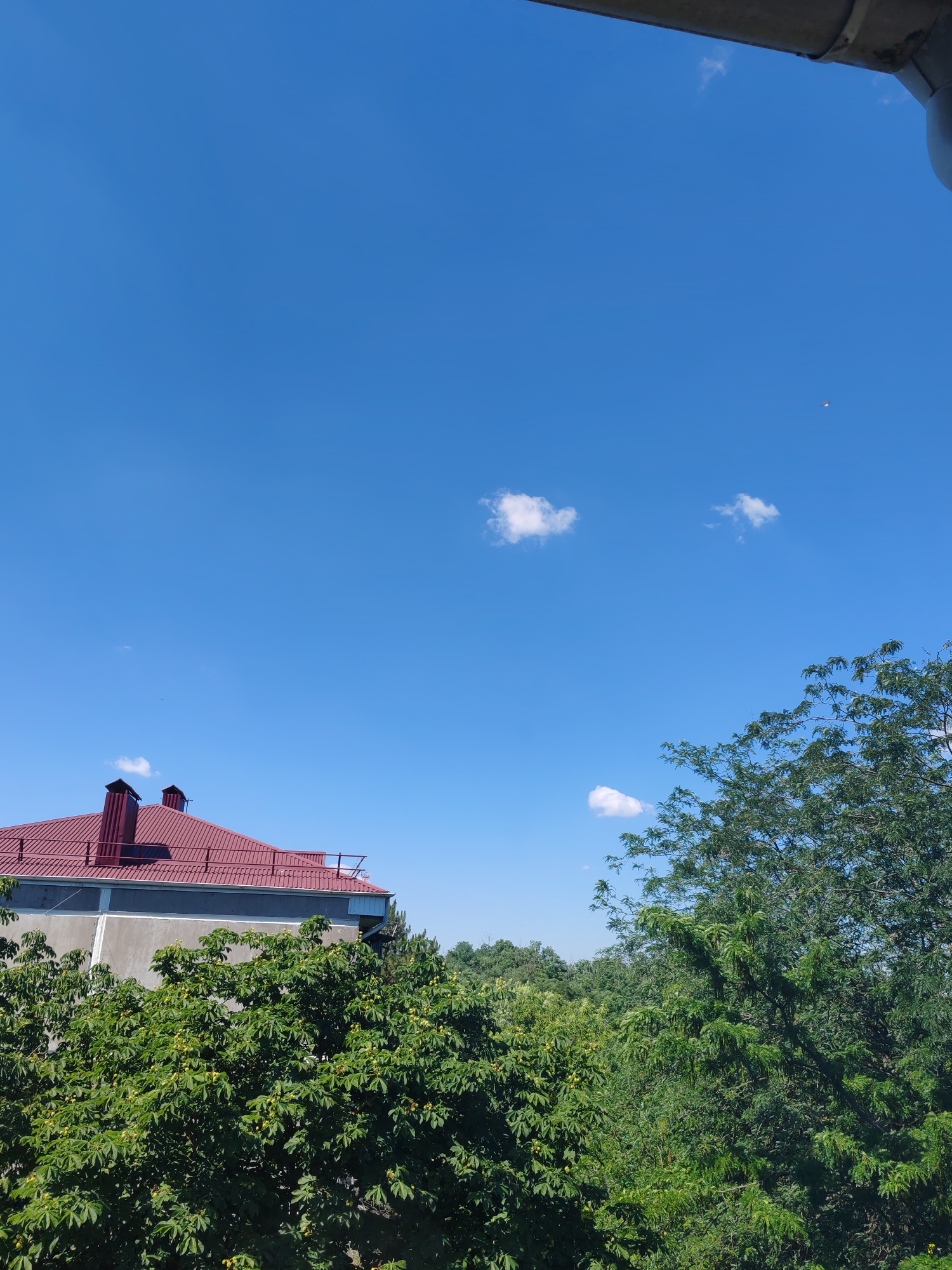 The image depicts a clear blue sky with a few scattered white clouds. In the lower left quadrant, a building with a red, sloped roof and two chimneys is visible, partially obscured by lush green foliage. The foliage, which appears to be trees, dominates the lower portion of the image. In the upper right portion of the sky, a small object, possibly a kite or a distant bird, is discernible. The overall scene suggests an outdoor environment on a bright, sunny day. The location is specified as Loris, Russia.