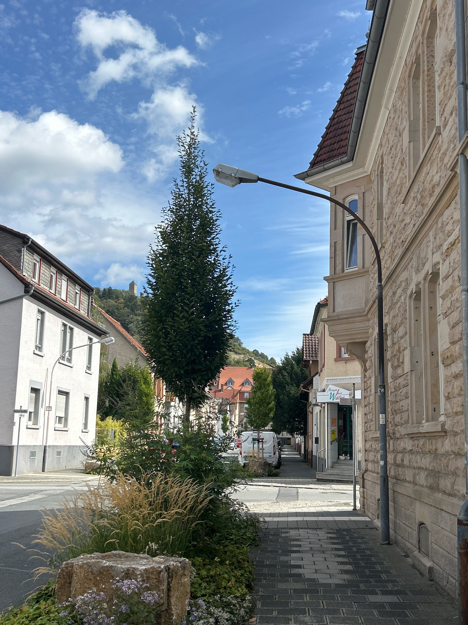 An eye-level, medium outdoor shot captures a street scene in Unknown, Unknown on a partly cloudy day. The perspective is from a paved sidewalk, looking down a street lined with buildings and vegetation. The main focus is on the right side of the frame, where a light-colored, stone building with arched windows and a red-tiled roof dominates. A dark, curved street lamp extends from a pole on the sidewalk into the frame. On the left side of the street, a white building with multiple windows and a gray, sloped roof is visible. Across the street, the facades of other buildings with red-tiled roofs recede into the distance. A tall, slender evergreen tree stands in the foreground, near a stone planter filled with ornamental grasses and small purple flowers. Beyond the evergreen, a white van is parked on the street. In the background, a hill is covered with trees and a structure that appears to be a tower or castle is visible at the summit. The sky is blue with scattered white clouds.