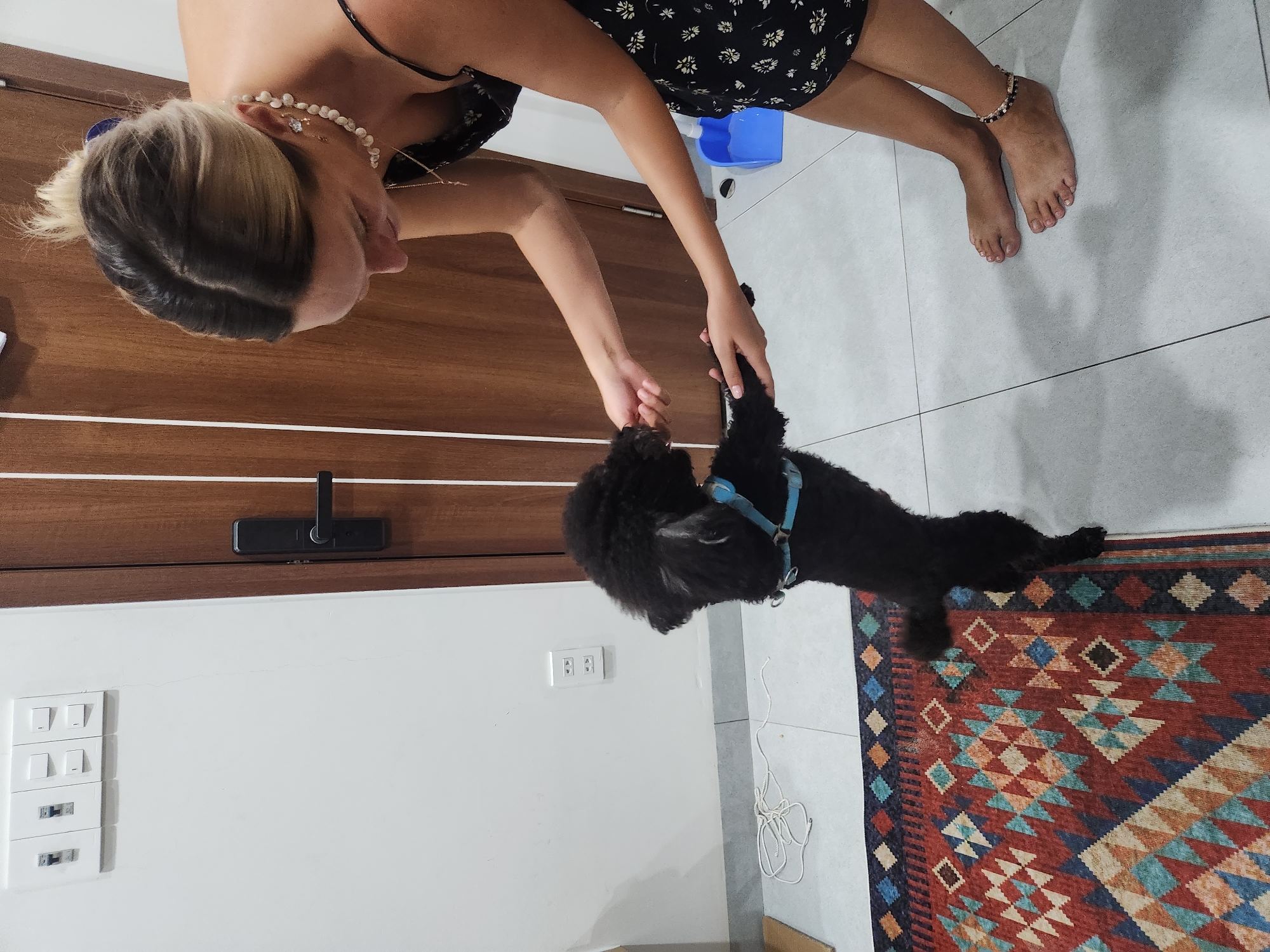 The image shows a woman and a small black dog interacting indoors. The woman, with blonde hair pulled back and wearing a black floral dress and pearl necklace, is holding the dog's paw. The dog, wearing a blue harness, is standing on its hind legs and also holding the woman's hand. The environment appears to be a home or apartment, with a wooden door, a light-colored wall with electrical outlets and switches, and a patterned rug on a tiled floor. A blue dustpan is visible near the door. The scene does not provide any specific indicators to confirm its location in Đà Nẵng, Vietnam.