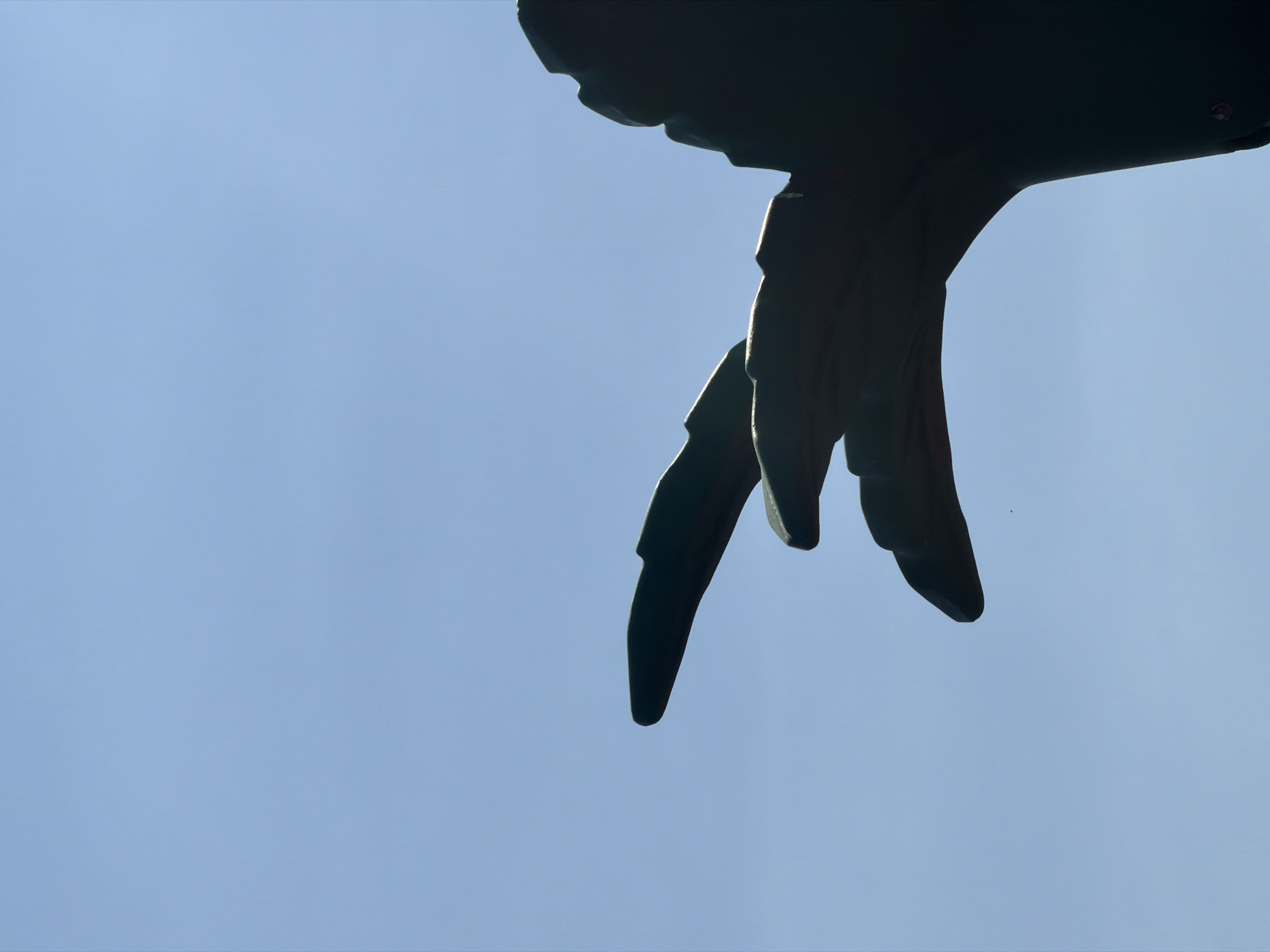 A dark silhouette of a sculpture, possibly representing a bird's wing or a similar organic form, is positioned against a clear, pale blue sky. The sculpture is angled from the bottom right corner towards the left side of the frame, with two distinct curved sections visible in the foreground, resembling fingers or feathers. The overall impression is abstract and minimalist, emphasizing form and shadow. The location is Köprübaşı, Turkey.