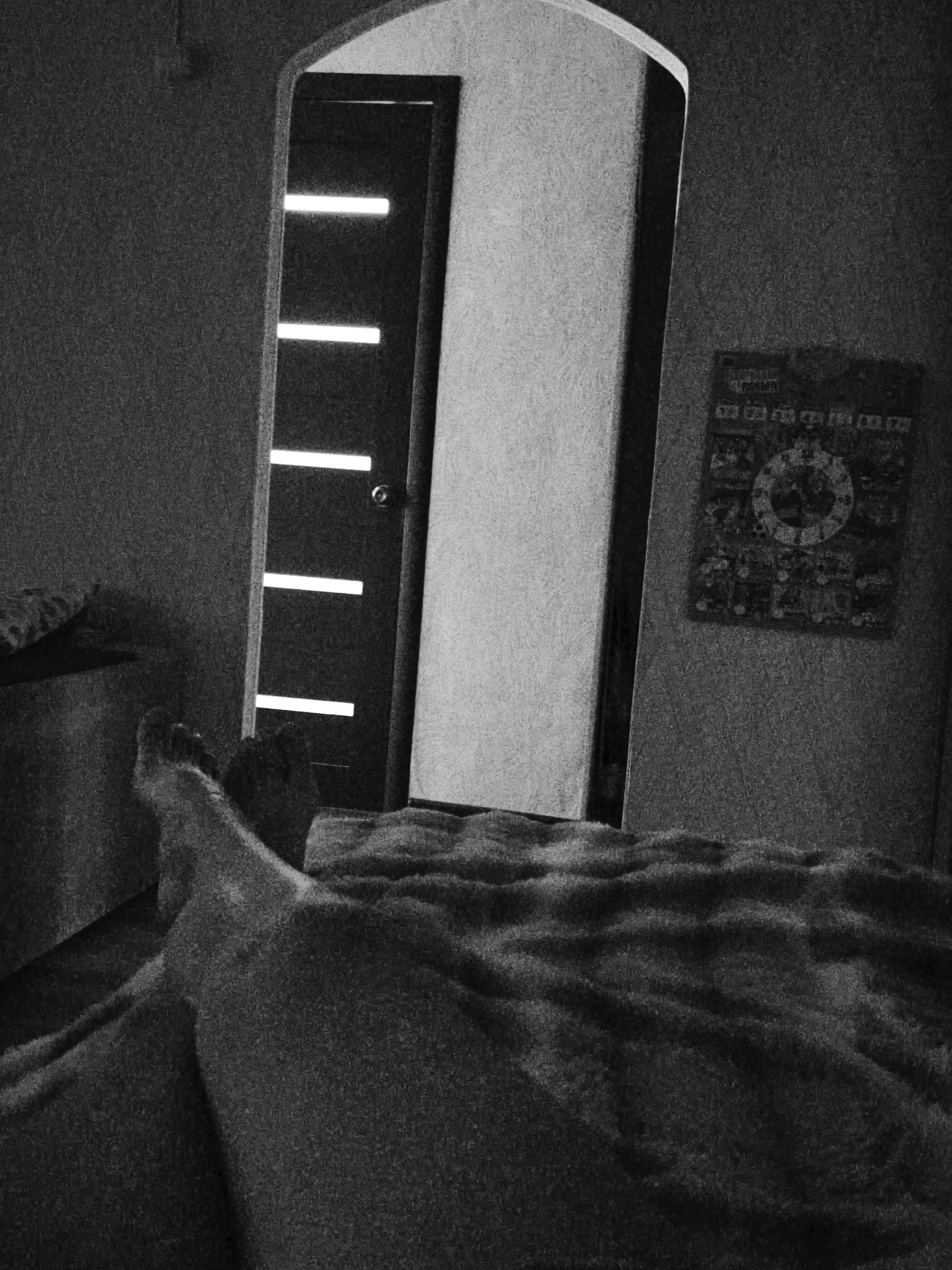 The image depicts an indoor scene, likely a bedroom, with a focus on a person's legs and feet partially covered by a blanket. The room appears dimly lit, with the primary light source emanating from three horizontal rectangular windows embedded in a dark-colored door, which is ajar. To the right of the door, a wall displays a framed circular object, possibly a tapestry or a decorative plate, with intricate patterns. The foreground is dominated by the texture of a plush blanket and the bare leg and foot of a person. The overall ambiance is still and private. No specific landmarks or elements within the image definitively place the scene in Chaikovsky, Russia.