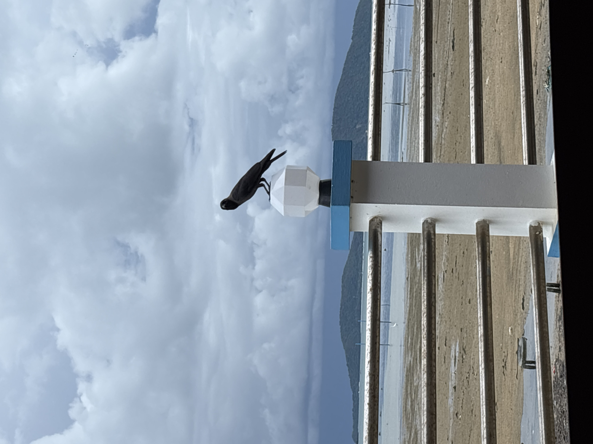 A black bird is perched on top of a white hexagonal lamp post, which is mounted on a white rectangular pillar with a blue trim. The pillar is part of a railing that extends across the frame. Behind the railing is a body of water, possibly the sea, with a muddy, exposed seabed visible. In the distance, there are two green, tree-covered islands under a cloudy sky. The location is Rawai, Thailand.