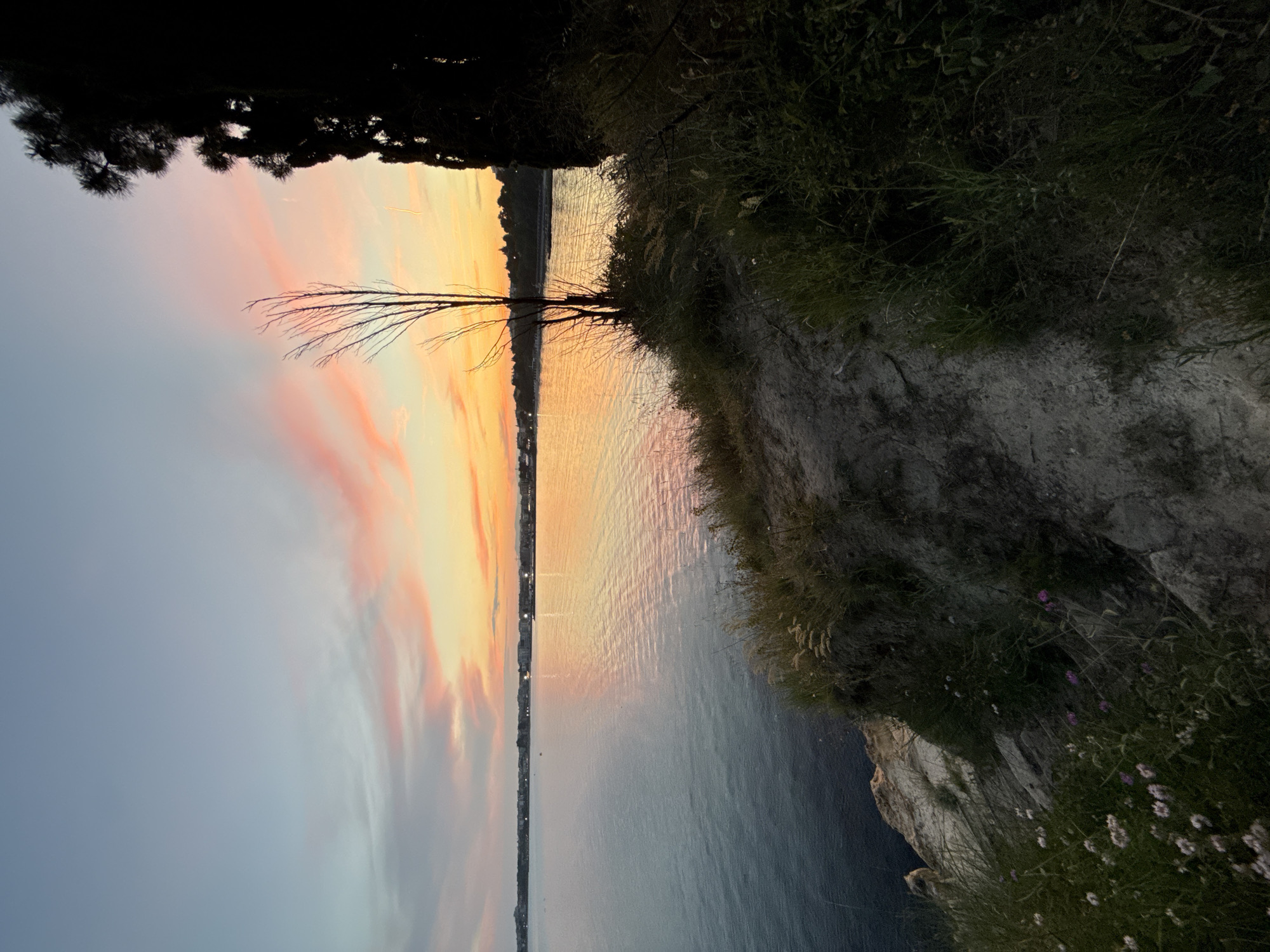 The image depicts a serene sunset over the sea in Nesebar, Bulgaria. The sky is a gradient of soft blues, pinks, and oranges, with wispy clouds illuminated by the setting sun. The calm sea reflects the vibrant colors of the sky, creating a tranquil atmosphere. In the foreground, a rocky cliff overlooks the water, covered with sparse green vegetation and a few small, delicate flowers. A silhouetted tree stands on the right side of the frame, adding depth to the composition. In the distance, the town of Nesebar is visible along the coastline, with buildings and lights suggesting a populated area. The overall scene is one of natural beauty and peacefulness, characteristic of a coastal sunset.