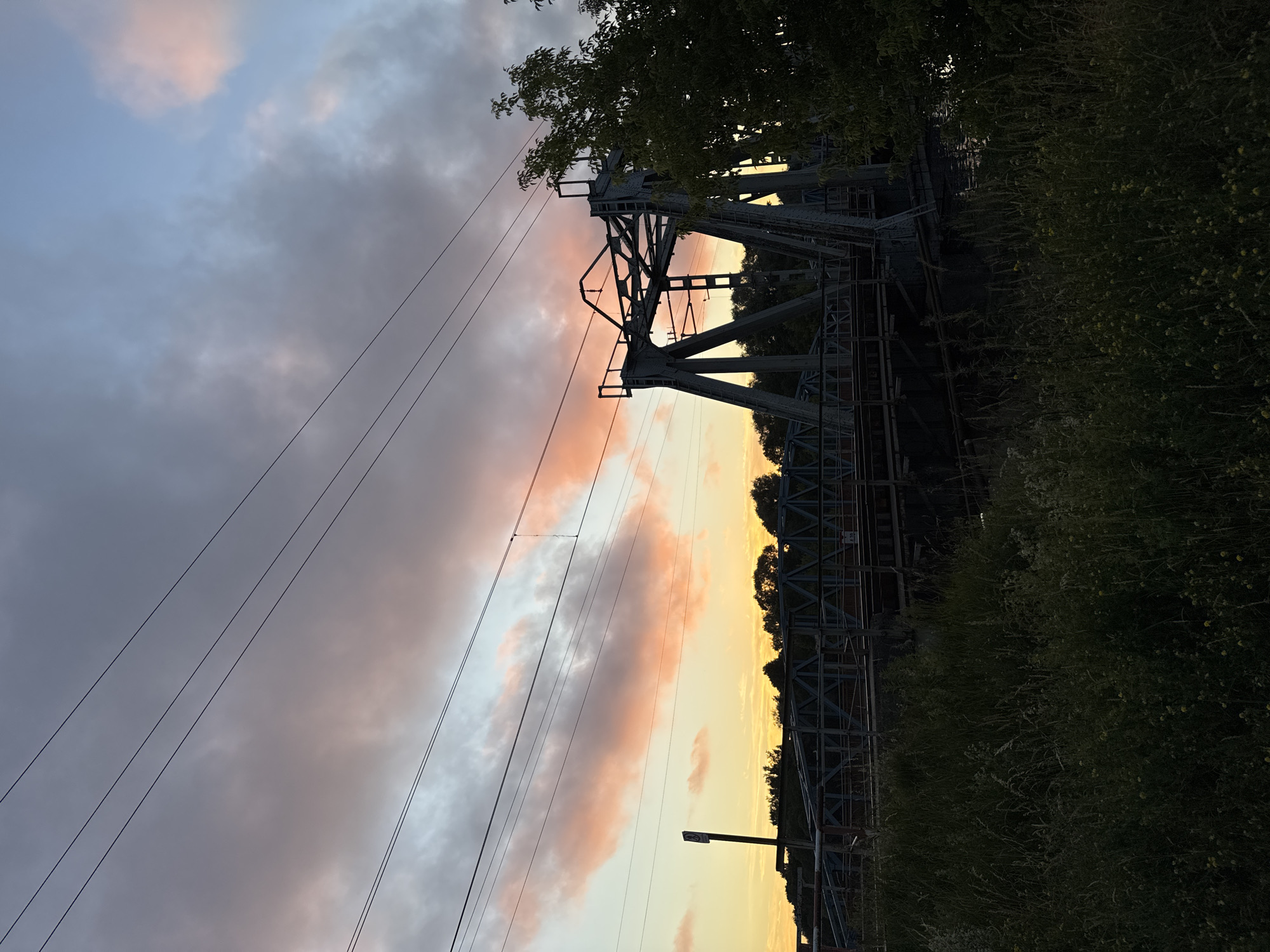 The image depicts a railroad bridge spanning a body of water, likely a river or canal, in Carnikava, Latvia. The sky is a dramatic mix of dark gray storm clouds and soft pink and orange hues from a sunset or sunrise. Several power lines are visible crisscrossing the sky, tautly stretched between unseen poles.
The bridge itself is a substantial metal structure with visible trusses and a central lifting mechanism, suggesting it's a drawbridge or bascule bridge designed to allow taller vessels to pass. The bridge is grey and shows signs of age and wear. In the foreground, tall grass and wild vegetation grow densely on the bank, obscuring the lower parts of the bridge and the water's edge. A lone signpost with a circular sign is visible near the left edge of the frame. To the right, a lush green tree with dense foliage partially obscures the bridge and the sky.
No people are visible in the scene. The environment appears to be a natural, undeveloped area adjacent to the railway line and the waterway. The lighting suggests it is either early morning or late evening. The overall impression is one of a quiet, somewhat industrial landscape at the edge of nature, illuminated by the fading light of the day.