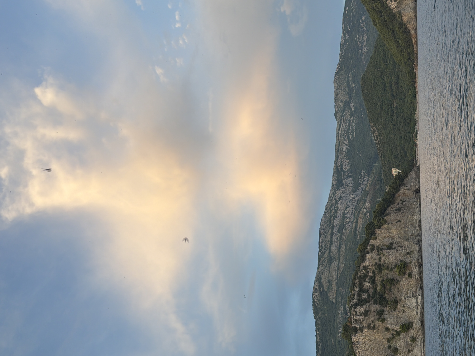 The image depicts a coastal landscape at dusk, likely in or near Petrovac na Moru, Montenegro. The scene is dominated by a body of water in the foreground, appearing as a calm sea with subtle ripples. Behind the water, a rugged, rocky coastline rises, covered in sparse vegetation and trees. Further inland, a series of rolling, green-covered hills and mountains form the backdrop. The sky above is a blend of blue and soft, warm-toned clouds, illuminated by the setting sun, creating an ethereal glow. Several birds are visible in flight against the clouds. A small building or structure is faintly visible on the hillside in the middle ground, and a beach area with some scattered umbrellas can be discerned along the coastline. The overall impression is one of natural beauty and tranquility, characteristic of a Mediterranean coastal setting.