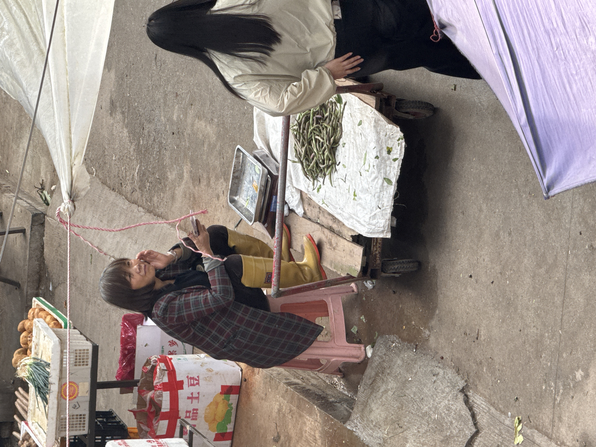 An eye-level, full outdoor shot presents a scene in Hechuan, China. A person with short, dark hair, wearing a plaid jacket, is seated on a pink plastic chair, holding a cell phone. This person is positioned near produce like potatoes, onions, and other vegetables in plastic containers, as well as boxes labeled with Chinese characters. Nearby, another person with long black hair is standing next to a cart piled with green beans on a white cloth. An umbrella and a white canopy provide cover. The setting is a concrete urban environment.