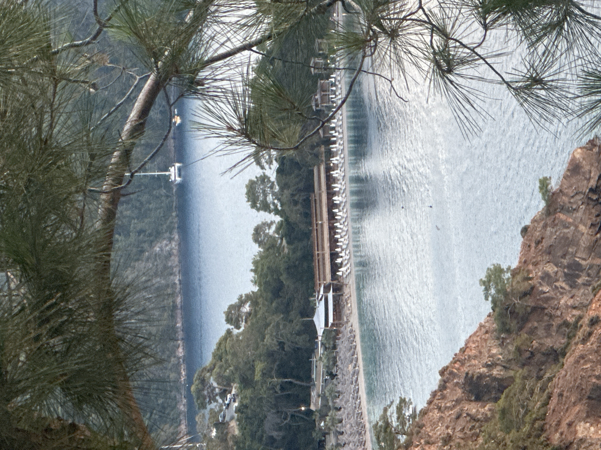 This image captures an elevated perspective of a serene coastal landscape in Fethiye, Turkey, looking down upon a tranquil bay or inlet. The foreground is distinctly framed by the dark green needles and branches of pine trees, adding a natural vignette to the scene.
A calm body of water, likely the sea or a bay, occupies a significant portion of the image, reflecting daylight and showing gentle ripples. On the left side of the bay, a long, narrow pier or dock extends into the water, with a small boat or navigational beacon visible further out. Across the bay, a distant shoreline with lush green hills or mountains can be seen under a soft, hazy sky.
Along the immediate coastline, a beach area is visible, densely equipped with numerous white beach loungers or sunbeds arranged in orderly rows. Several structures with white canopies or roofs are interspersed among the trees backing the beach, suggesting a resort or leisure facility. The beach is bordered by a strip of green trees and vegetation. To the right, steep, rugged cliffs of reddish-brown rock descend towards the water, adorned with scattered green foliage.
The scene portrays a peaceful daytime setting under clear weather conditions, without any specific human activity explicitly visible, though the beach facilities indicate a recreational purpose. The natural elements, combined with the organized beach setup, convey a tranquil, vacation-like atmosphere characteristic of the Fethiye region. No discernible text is present in the image.