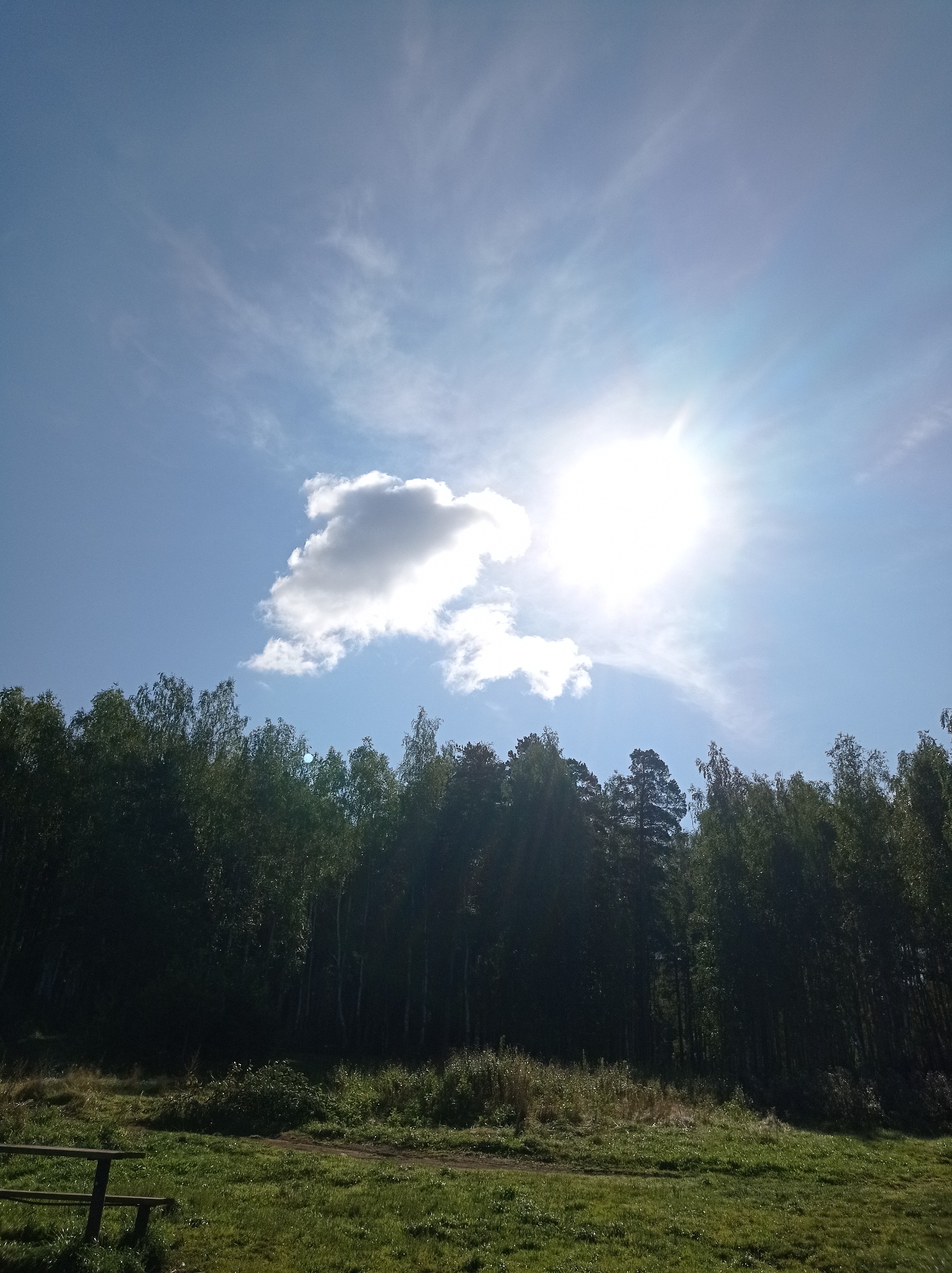 The image depicts a sunlit clearing adjacent to a dense forest. The sky is a vibrant blue with wispy white clouds and the sun, a brilliant white sphere with radiating rays, is partially obscured by a larger, more defined cloud. Below the sky, a dark line of tall trees forms the edge of the forest, casting shadows on the grassy foreground. The ground is covered in green grass with patches of dried vegetation and a dirt path visible. In the lower left corner, a portion of a wooden bench or railing is present. The scene is likely an outdoor natural area, possibly a park or woodland fringe, in the city of Degtyarsk, Russia, given the information provided.