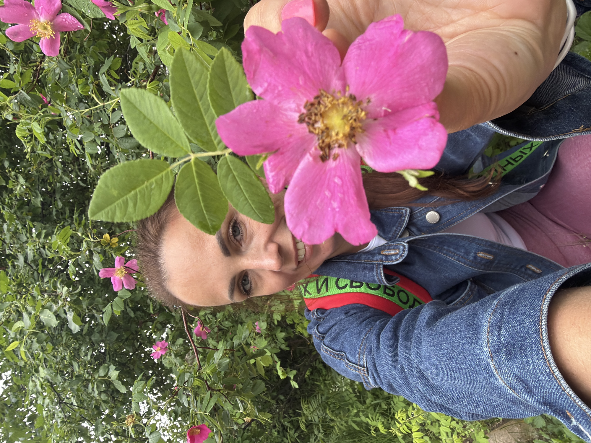 An outdoor, waist-up, medium shot captures a woman with brown hair and fair skin in a denim jacket, holding a pink rose in her outstretched right hand. The rose is in the foreground and is in focus. The woman is smiling and looking at the camera. In the background, there are green leaves and pink roses on a bush. The setting appears to be a garden or park. The woman is wearing a white t-shirt under her denim jacket, and a red and green strap is visible across her chest. The lower half of the image is dominated by the woman's arm and denim jacket. The image was taken in Birobidzhan, Russia.