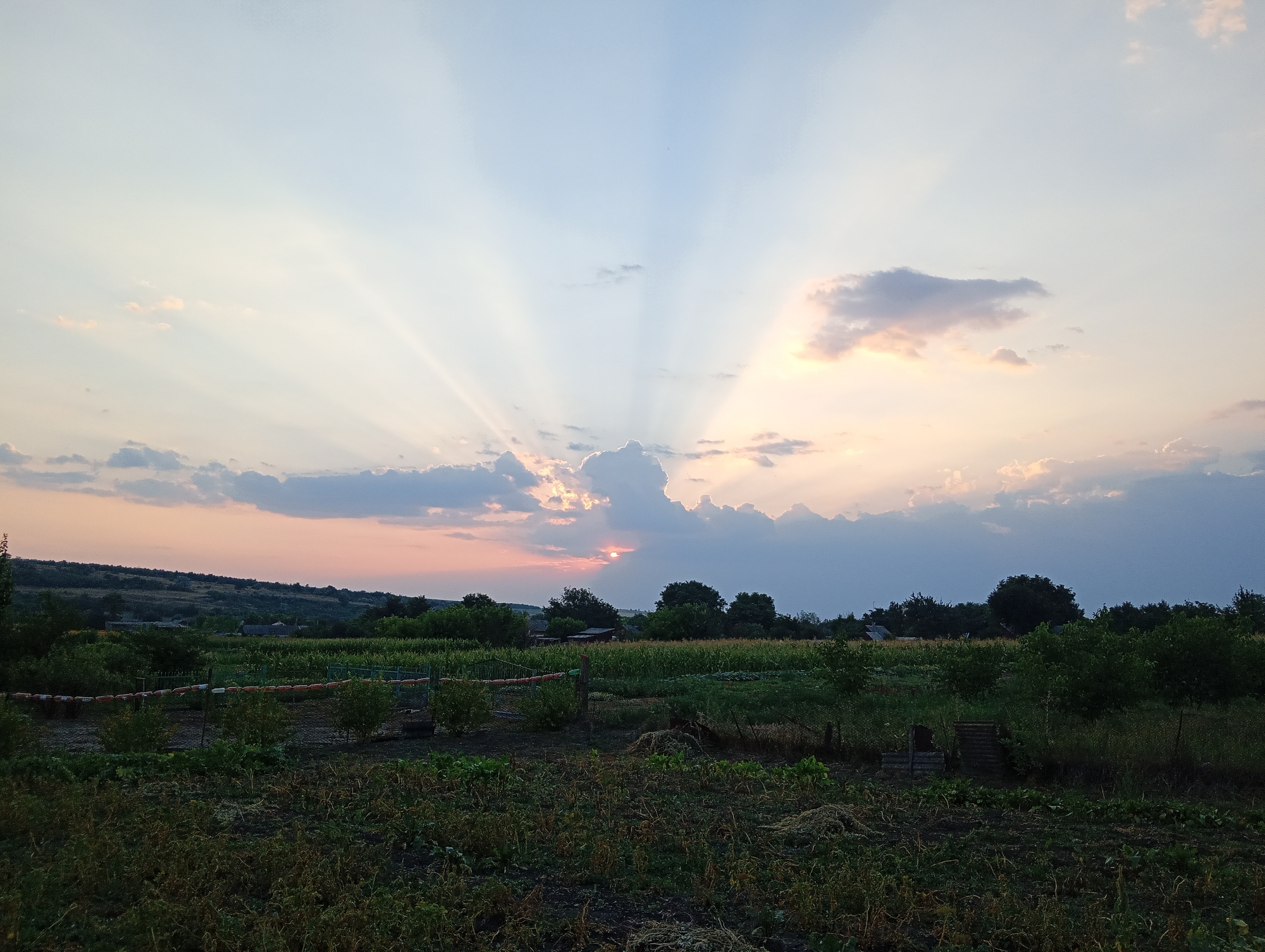 The image depicts a serene rural landscape in Marynivka, Ukraine, during what appears to be sunset. The sky is a gradient of soft blues and pinks, with crepuscular rays emanating from behind scattered clouds, suggesting the sun is low on the horizon. The foreground is a garden plot with dark soil, dry vegetation, and some green plants, indicating recent cultivation or the end of the growing season. A low fence with alternating white and orange markers runs horizontally across the mid-ground, separating the garden from a field of green crops, likely corn, further back. Several trees dot the landscape, with a more dense treeline forming a backdrop against the distant, rolling hills. Small houses or buildings are visible nestled amongst the trees in the distance. The overall impression is one of peaceful rural life at the close of day. There are no people or animals visible in the image.