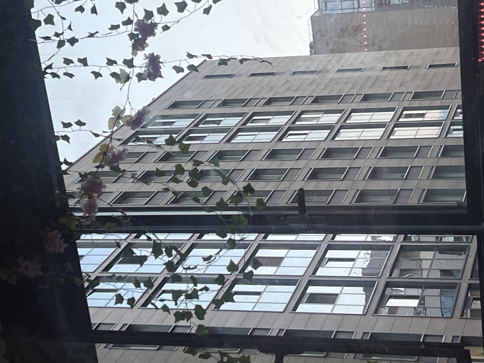 The image shows a view of a modern building with a glass facade, framed by artificial vines with pink flowers and green leaves hanging from above. The building is tall and features a grid-like pattern of windows. Some windows are open, allowing a glimpse of the interior. In the background, another building is visible, partially obscured by the foreground. The sky is overcast and grey. The scene suggests an urban setting, possibly a city like Unknown, Unknown. There are no people or animals visible in the image. The overall mood is somewhat muted due to the cloudy sky and the geometric, impersonal nature of the architecture.