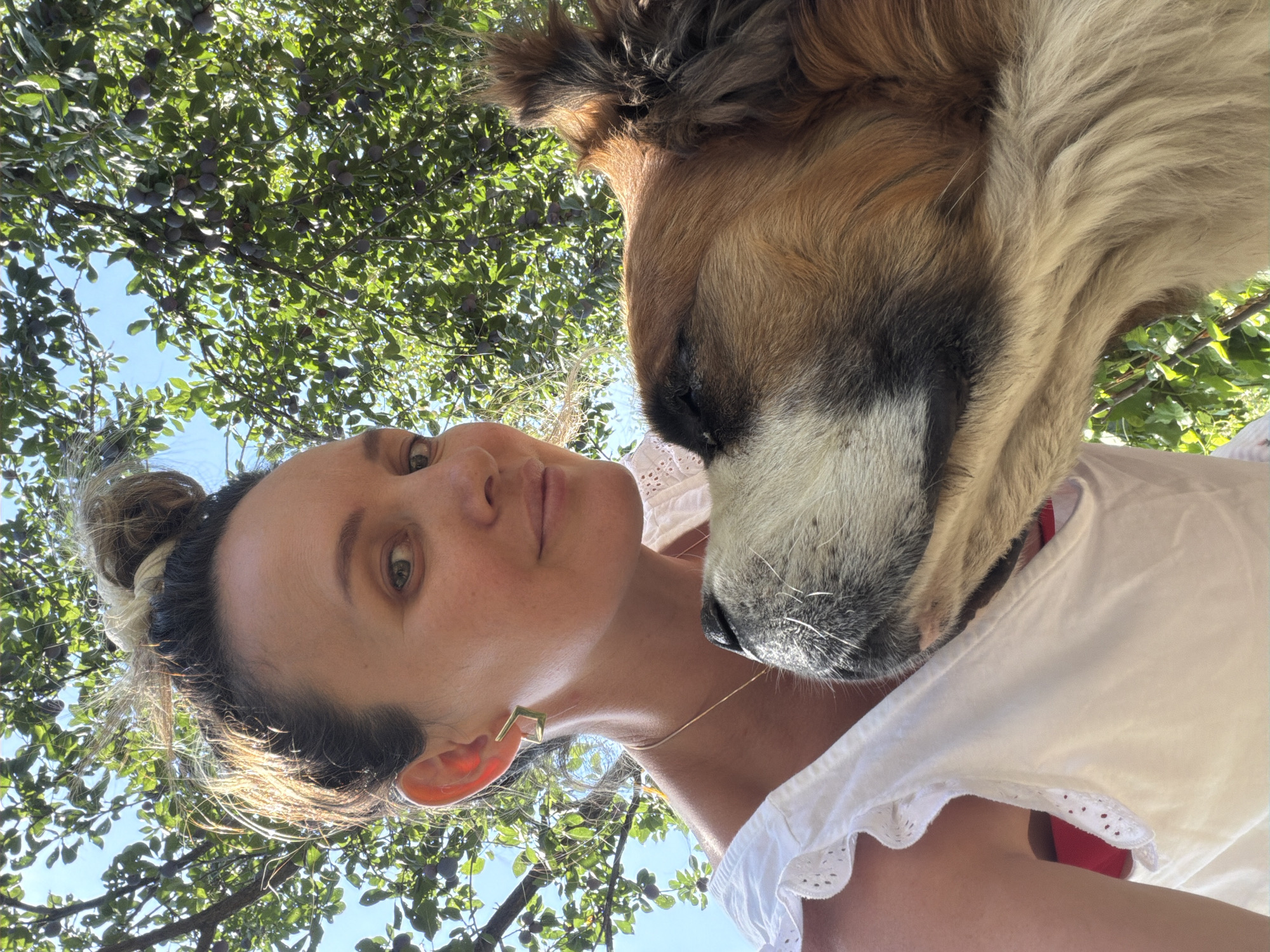 A woman with her hair in a bun and wearing a white top with ruffled sleeves and a gold necklace poses for a selfie outdoors. Beside her, a large dog, possibly a Saint Bernard, rests its head close to her face. The background features a tree with green leaves and dark purple fruits, suggesting it might be a plum tree. The sky is visible through the foliage. The image was taken in the city of Tekeli, Kazakhstan.