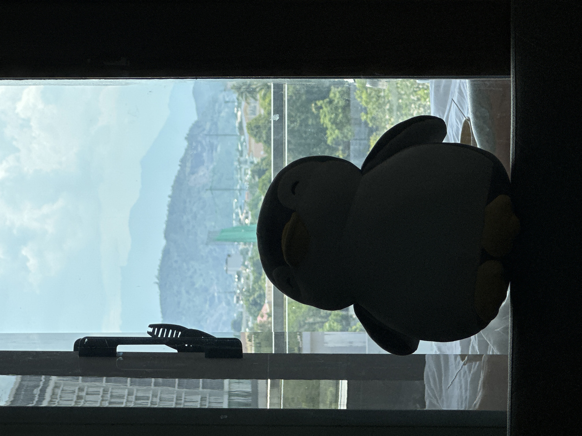 A silhouette of a plush penguin toy sits in front of a window overlooking a city and mountains in Đà Nẵng, Vietnam. The penguin is dark gray with yellow feet and beak, and its eyes are closed. It is positioned in the center of the frame, appearing to be resting on a white surface.
Through the window, the cityscape of Đà Nẵng is visible, characterized by buildings of various heights and colors. Some buildings appear to be residential, while others might be commercial. In the background, lush green trees dot the landscape, and further in the distance, layered mountains rise against a pale blue sky with scattered clouds. The light suggests it is daytime, possibly morning or afternoon.
To the left of the penguin, a part of a window frame is visible, with a black handle mechanism attached. The reflection of a building with a grid-like pattern, likely a modern structure, can be seen on the glass of the window, indicating the presence of an opposite building. The foreground is dark, obscuring details of the immediate environment where the penguin is placed. The overall scene conveys a sense of quiet observation, with the toy penguin seemingly enjoying the view of the bustling city and serene natural landscape.