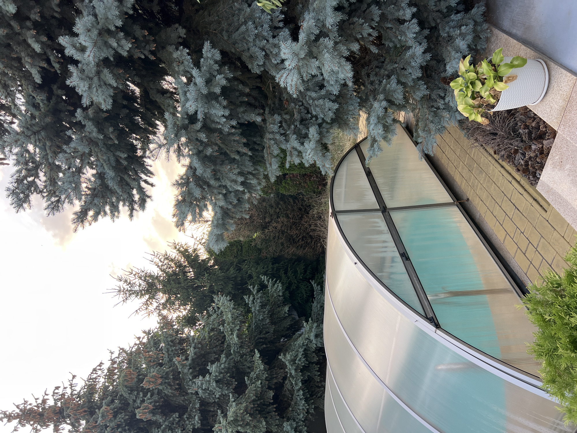 The image captures an outdoor scene with a swimming pool covered by a translucent, arched structure. The pool appears to be in a backyard or garden setting, surrounded by evergreen trees, including several large blue spruce trees, and some smaller shrubs. The ground is paved with light brown, square tiles. A potted plant with light green and some brown leaves sits on a stone ledge next to the pool cover, near the base of a large blue spruce. The sky in the background is overcast with hints of sunlight breaking through. The location is identified as Fontanka, Ukraine.
