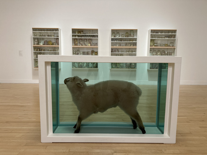 The image displays an art installation located within Tate Modern, London, United Kingdom. A preserved, light-furred lamb is suspended within a clear rectangular tank filled with a pale turquoise liquid, positioned centrally in the foreground. The tank is enclosed by a substantial white frame. The lamb faces generally right, with its head slightly raised and angled towards the left. In the background, four tall, narrow display cabinets with white frames and wooden accents are mounted on a plain white wall. Each cabinet contains multiple shelves, densely populated with numerous clear glass jars and containers of various sizes, holding diverse preserved specimens. The floor is constructed from light-toned wooden planks. No individuals are present in the scene.