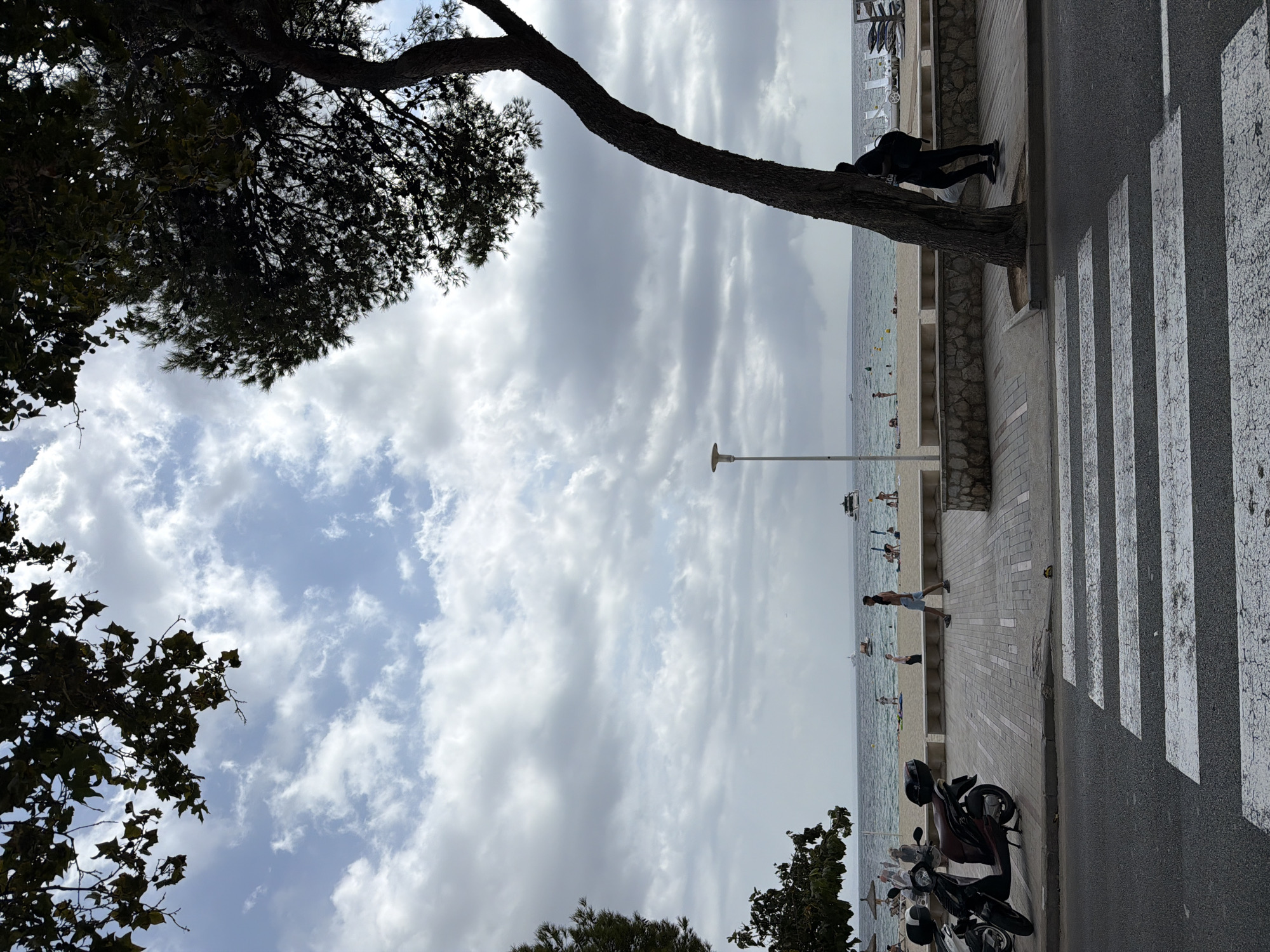 The image depicts a scene in Palmanova, Spain, on a cloudy day. In the foreground, a pedestrian crossing is visible on an asphalt road. To the left of the pedestrian crossing, two scooters are parked on a paved walkway. The walkway is bordered by a low stone wall and a row of benches. Beyond the walkway is a sandy beach with people scattered across it and sun loungers. The sea is calm with several boats visible on the horizon. In the background, the sky is filled with dramatic clouds. A large tree with a bent trunk stands prominently to the right of the image, partially obscuring a person in dark clothing carrying a backpack. Another person, a man in shorts and a t-shirt, walks along the paved area. The overall atmosphere is relaxed, characteristic of a beach town.