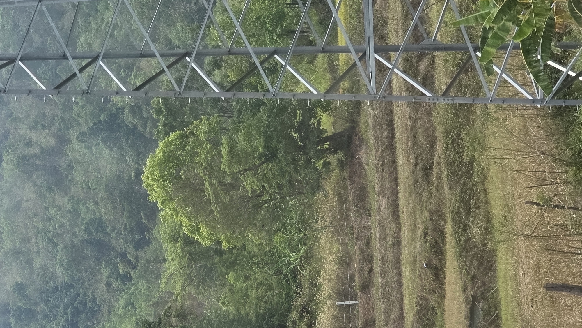 A view of a rural landscape near Kon Ra Kiah, Vietnam. A metal grid structure (likely an electricity pylon) is positioned in the upper part of the frame. Beyond it are hillside trees to the left, and a terraced field to the right. The field has alternating light and dark brown furrows. A single tree is prominently featured in the central area, set against the backdrop of the hill.