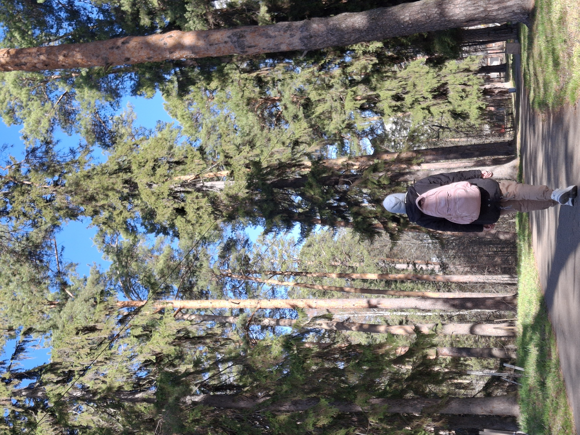 A person with a pink backpack and gray hoodie walks along a paved path lined with tall trees in Sarapul, Russia. The sky is blue and visible through the trees. The path has green grass on one side.