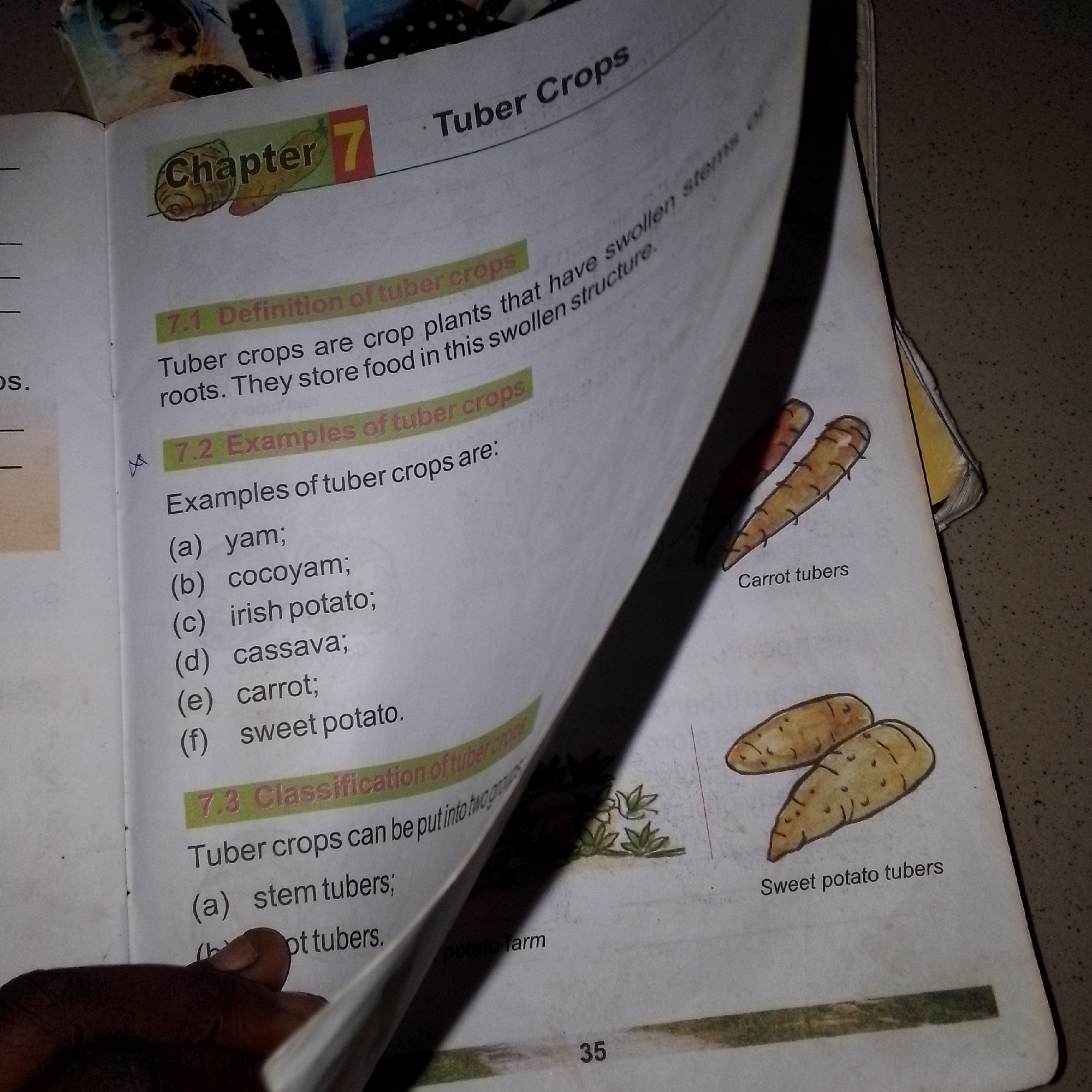 The image shows an open book displaying a chapter titled "Tuber Crops." The chapter is divided into sections: "7.1 Definition of tuber crops," "7.2 Examples of tuber crops," and "7.3 Classification of tuber crops." Examples of tuber crops listed include yam, cocoyam, irish potato, cassava, carrot, and sweet potato. Illustrations of carrot tubers and sweet potato tubers are present on the right side of the page. The page number "35" is visible at the bottom right. A person's hand is visible in the lower left corner, holding the book open. The environment appears to be indoors, possibly a home or classroom, with a speckled background. There is no information in the image that indicates the location is Jalingo, Nigeria.