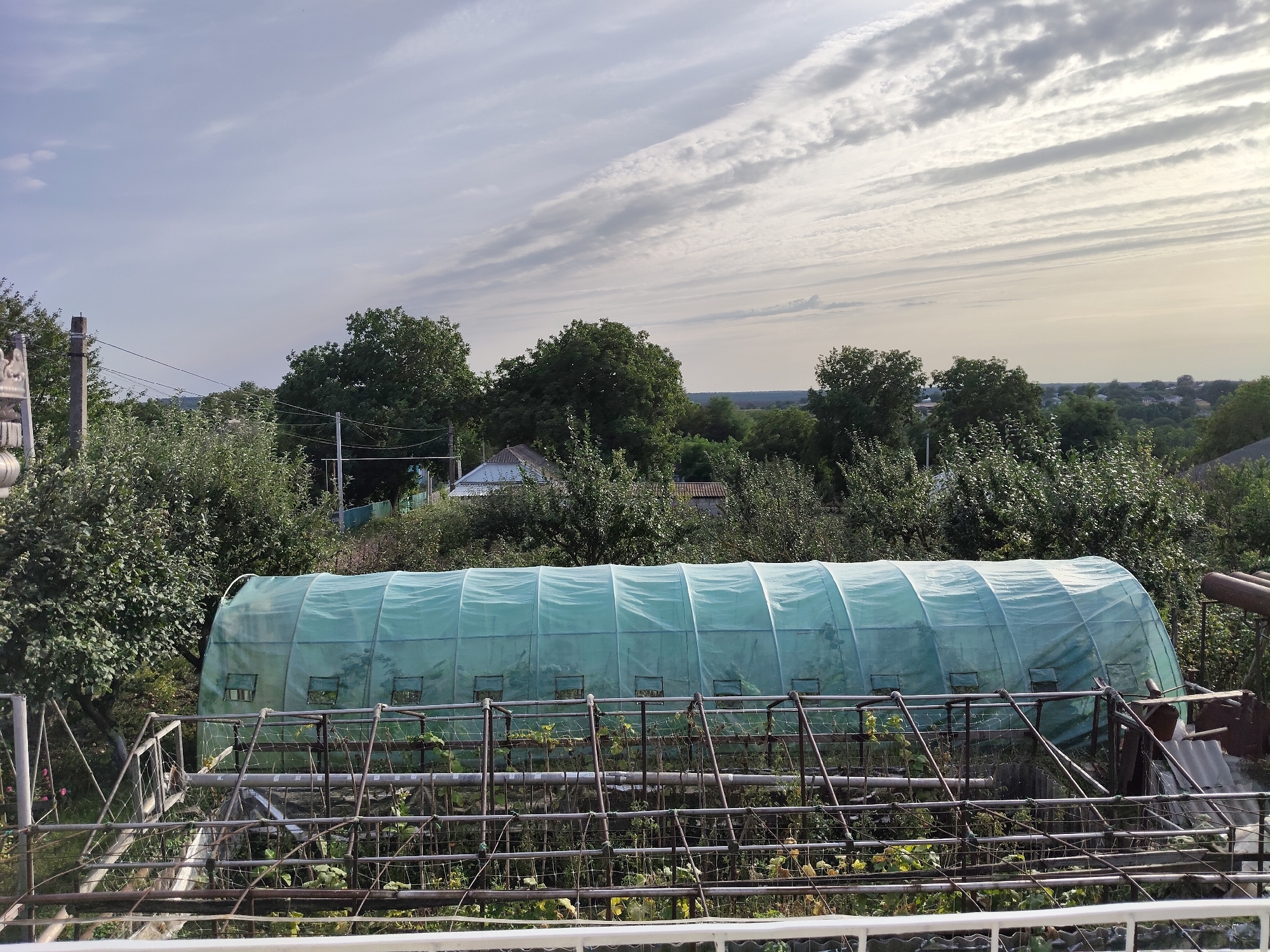 The image depicts an outdoor scene on a sunny day in Gîrbova, Moldova. In the foreground, a white railing runs horizontally across the bottom of the frame. Behind the railing, a garden structure with metal supports and netting is visible, with some plants growing within it. Dominating the mid-ground is a long, arched greenhouse covered in light green plastic sheeting, with several small rectangular windows visible along its side. Behind the greenhouse, dense green trees and foliage create a backdrop, with glimpses of houses and rooftops peeking through the leaves. Further in the distance, a flat landscape stretches to the horizon, characterized by more trees and vegetation. The sky above is a pale blue, adorned with a layer of wispy, horizontal clouds, suggesting a partly cloudy day with a gentle breeze. A single utility pole with wires is positioned to the left of the greenhouse.
