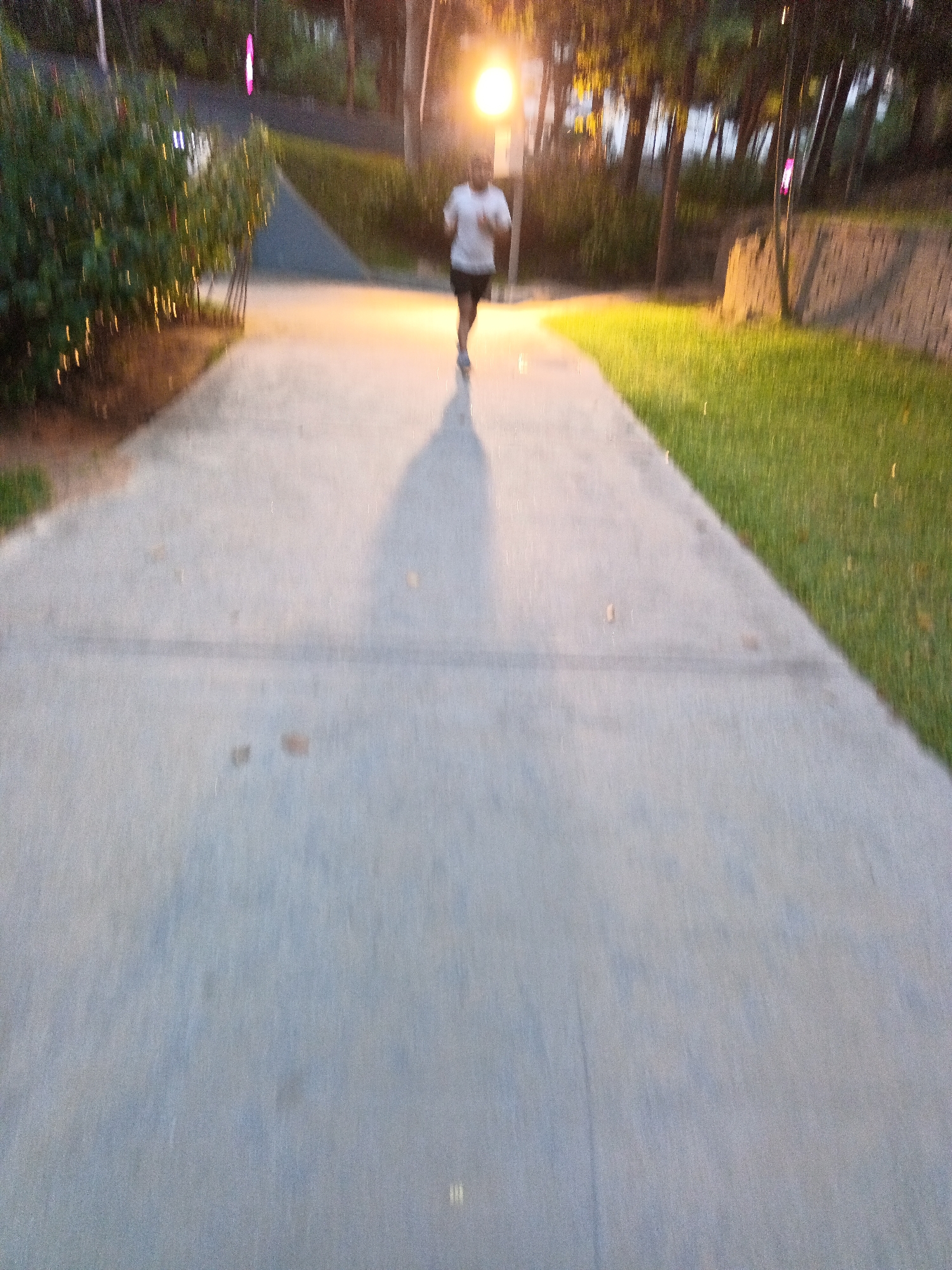 The image shows a person running on a paved path at dusk. The path is surrounded by grass and trees. There is a light source on the right side of the image, casting a warm glow. The person is wearing a white t-shirt and dark shorts. The image appears to be taken in a park or recreational area. The motion blur suggests that the person is running at a moderate pace. The overall atmosphere of the image is peaceful and serene. Based on the vegetation and the architectural style of the retaining wall on the right, this appears to be the Perdana Botanical Garden in Kuala Lumpur, Malaysia.
