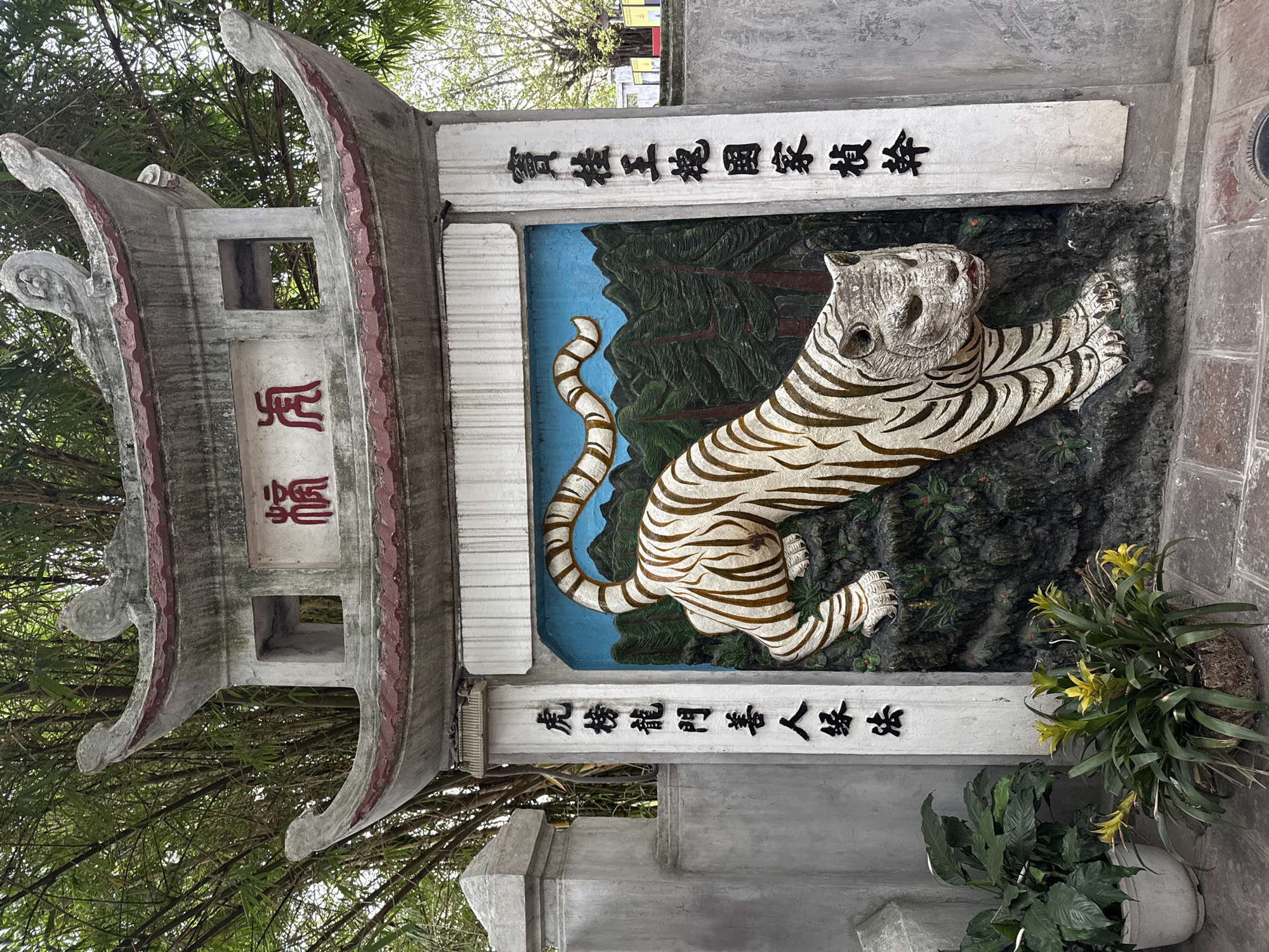 The image shows a bas-relief sculpture of a white tiger with brown stripes, set against a backdrop of a stylized forest and mountains. The tiger is depicted in a low, stalking posture. Above the sculpture, a pagoda-like structure with curved eaves is visible. Red Chinese characters are inscribed on a white plaque on this structure. Two vertical columns of black Chinese characters flank the tiger sculpture. On the left, the characters read "虎榜龍門善人緣法" and on the right, "寶桂王國國家植秊". The sculpture is located in a courtyard, with potted plants, including a peace lily and a bromeliad with yellow flowers, visible in the foreground. The background features bamboo trees and a larger tree with light green leaves. The scene appears to be outdoors, likely in a temple or historical site in Hanoi, Vietnam.