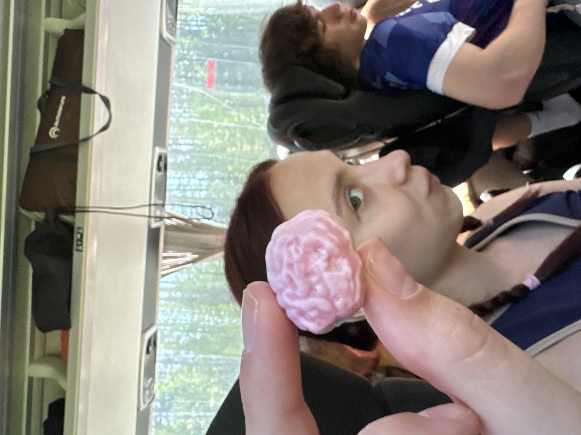 A close-up, candid shot taken indoors. A person with red hair and pigtails holds a pink, brain-shaped object. Another person with dark, curly hair reclines behind them, wearing a blue and white shirt. A black bag hangs to the left near a window, through which trees are visible. The location in the city of Grishanki, Russia is unknown.