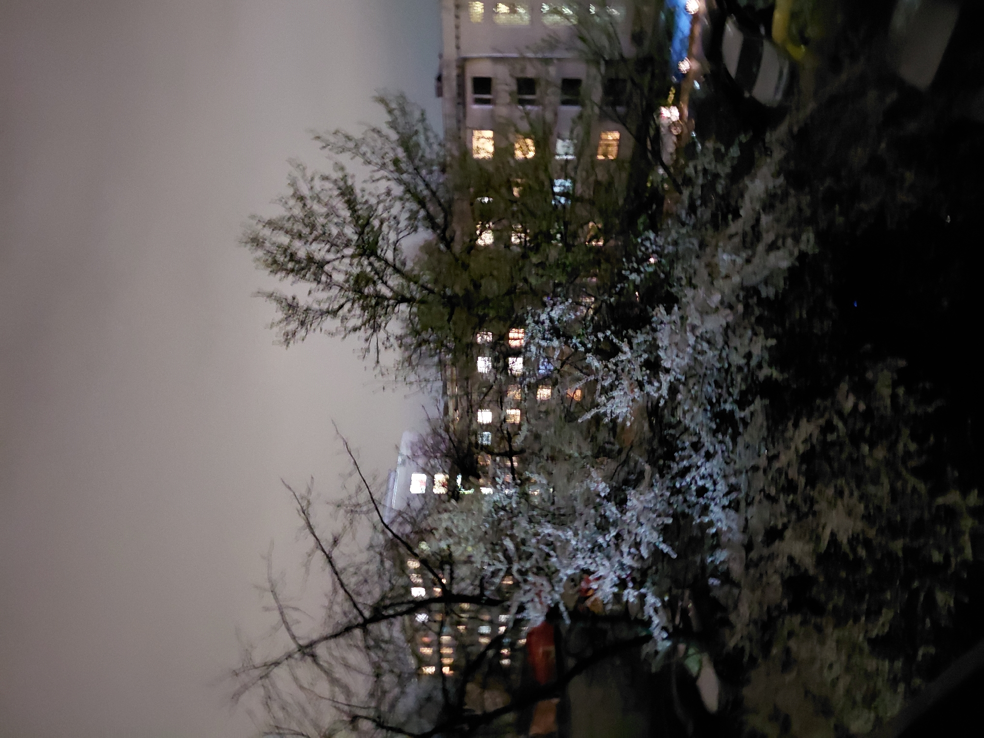 The image captures a night scene in an urban environment. In the foreground, there are trees with blossoms. Behind the trees, there is a tall building with illuminated windows. The sky is overcast. The image is slightly blurry. Given the provided information, the location is the city of Sofia, Bulgaria. There are no people visible in the image. The main subjects are the trees, the building, and the sky. There are cars in the background. No specific actions or interactions are discernible.