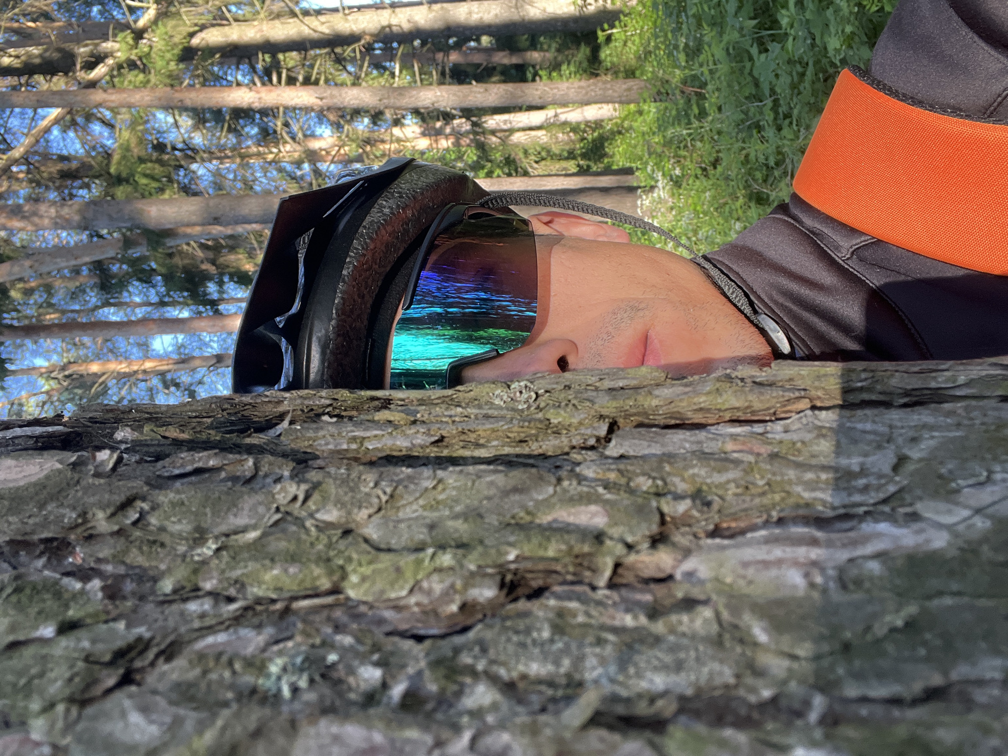 A person wearing a black cycling helmet and mirrored sunglasses peeks out from behind a large tree trunk in a forest. The person has a light complexion and is wearing a black long-sleeved cycling jersey with an orange strap across the chest. The background consists of tall pine trees and green foliage, suggesting an outdoor, natural setting. The lighting indicates it is daytime, with sunlight filtering through the trees. The scene is not specific to any location in the city of Chaikovsky, Russia.